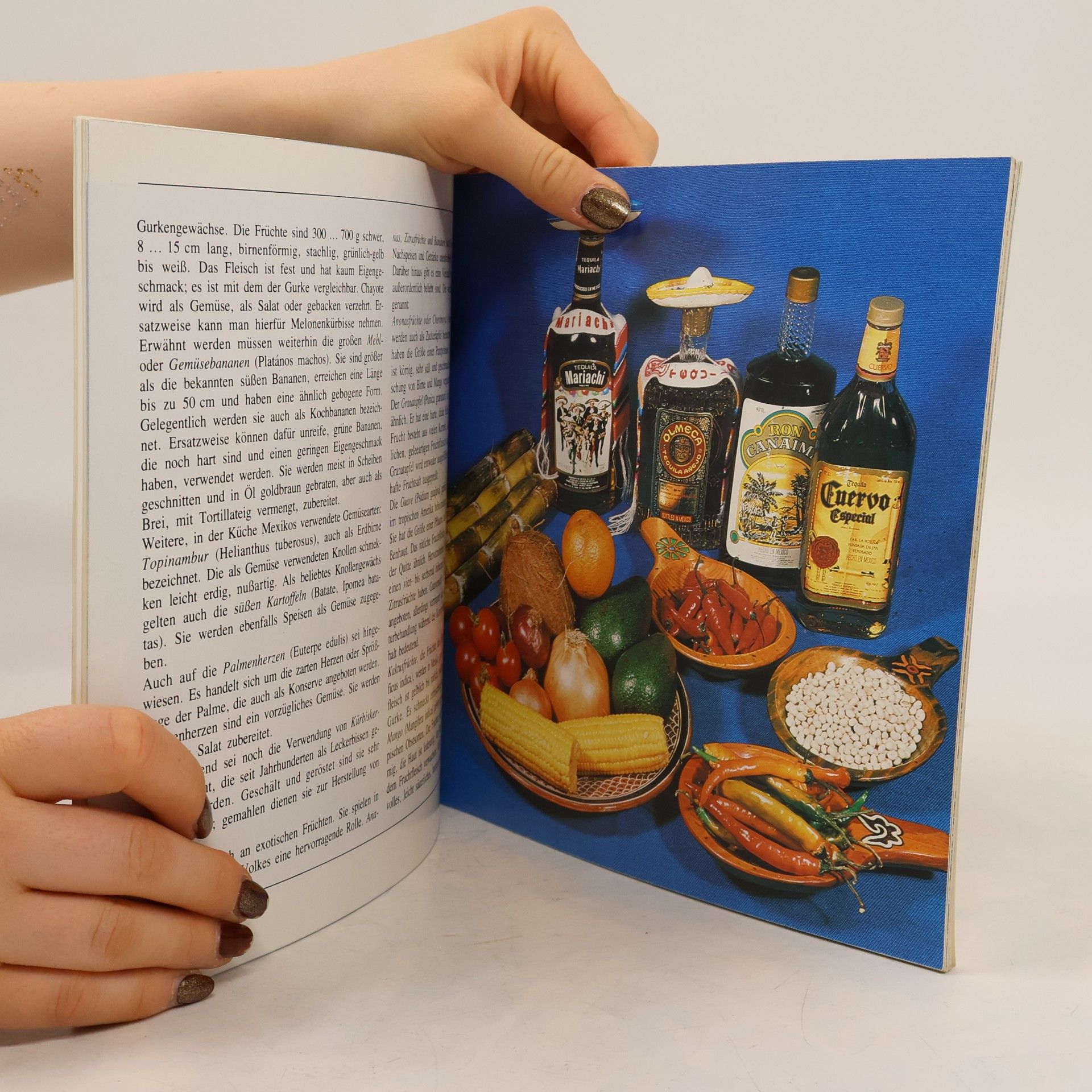 Kolektiv autorů Delikat-international : Gerichte der mexikanischen Küche