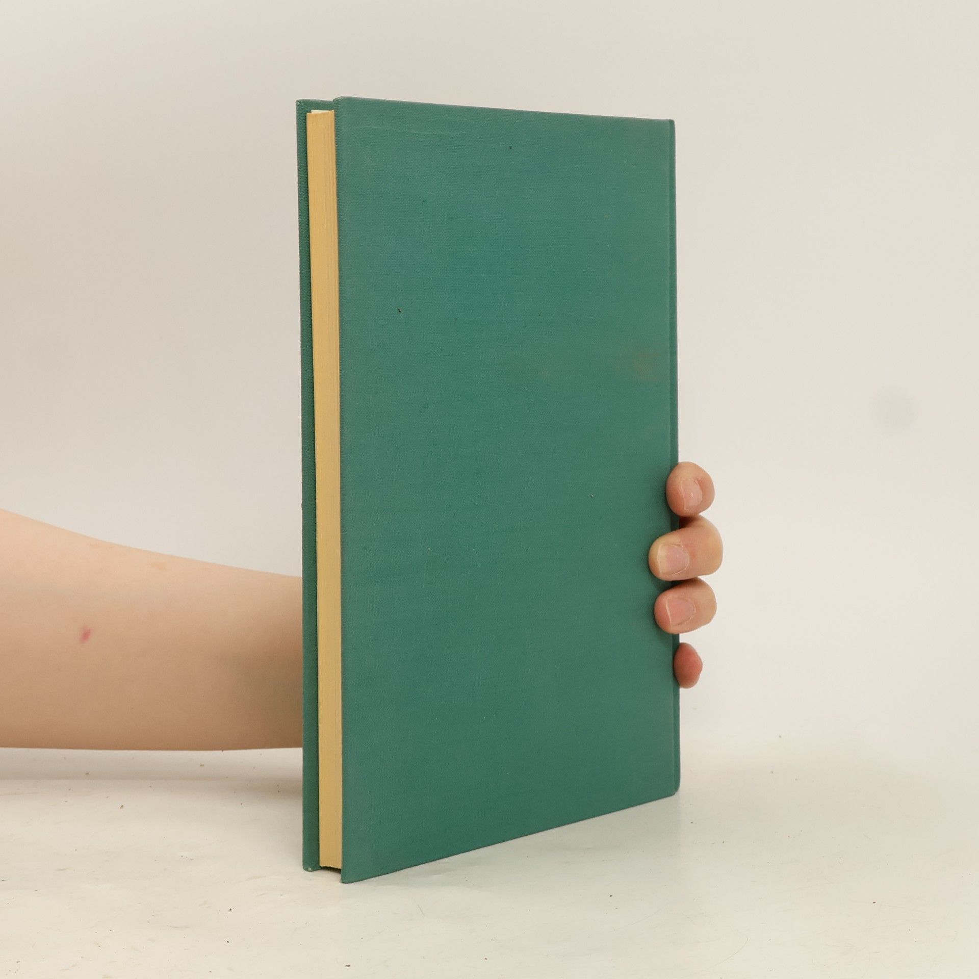 Paul Tillich Meine Suche nach dem Absoluten