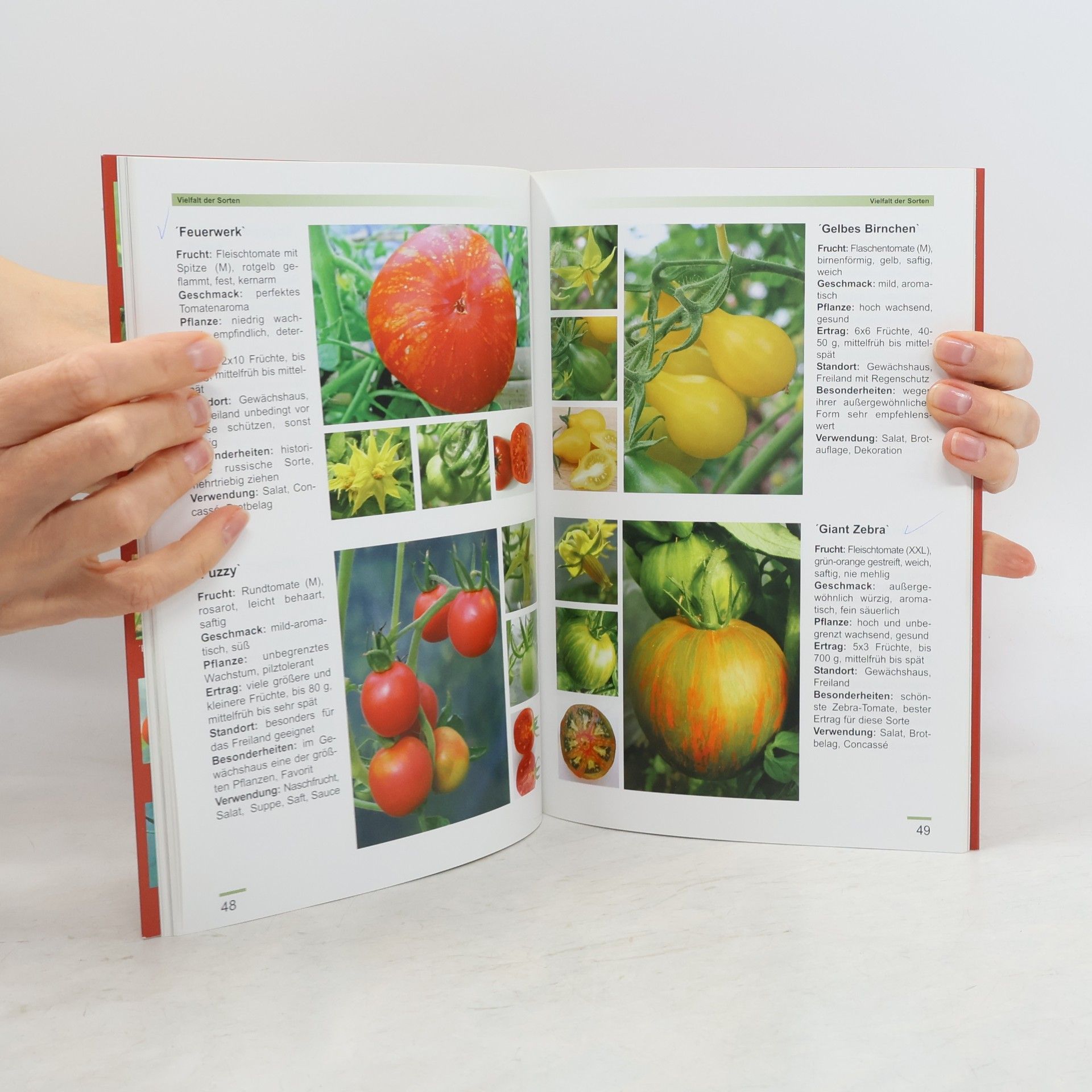Adelheid Coirazza Tomaten 1