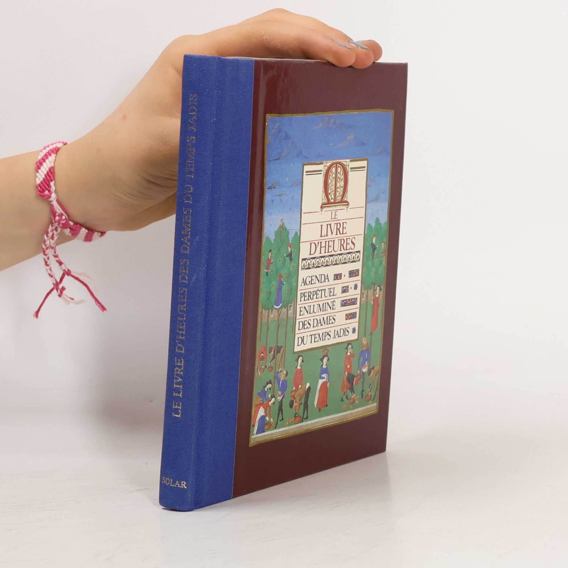 Daniele Michel-Fich Le livre d'heures (le) car