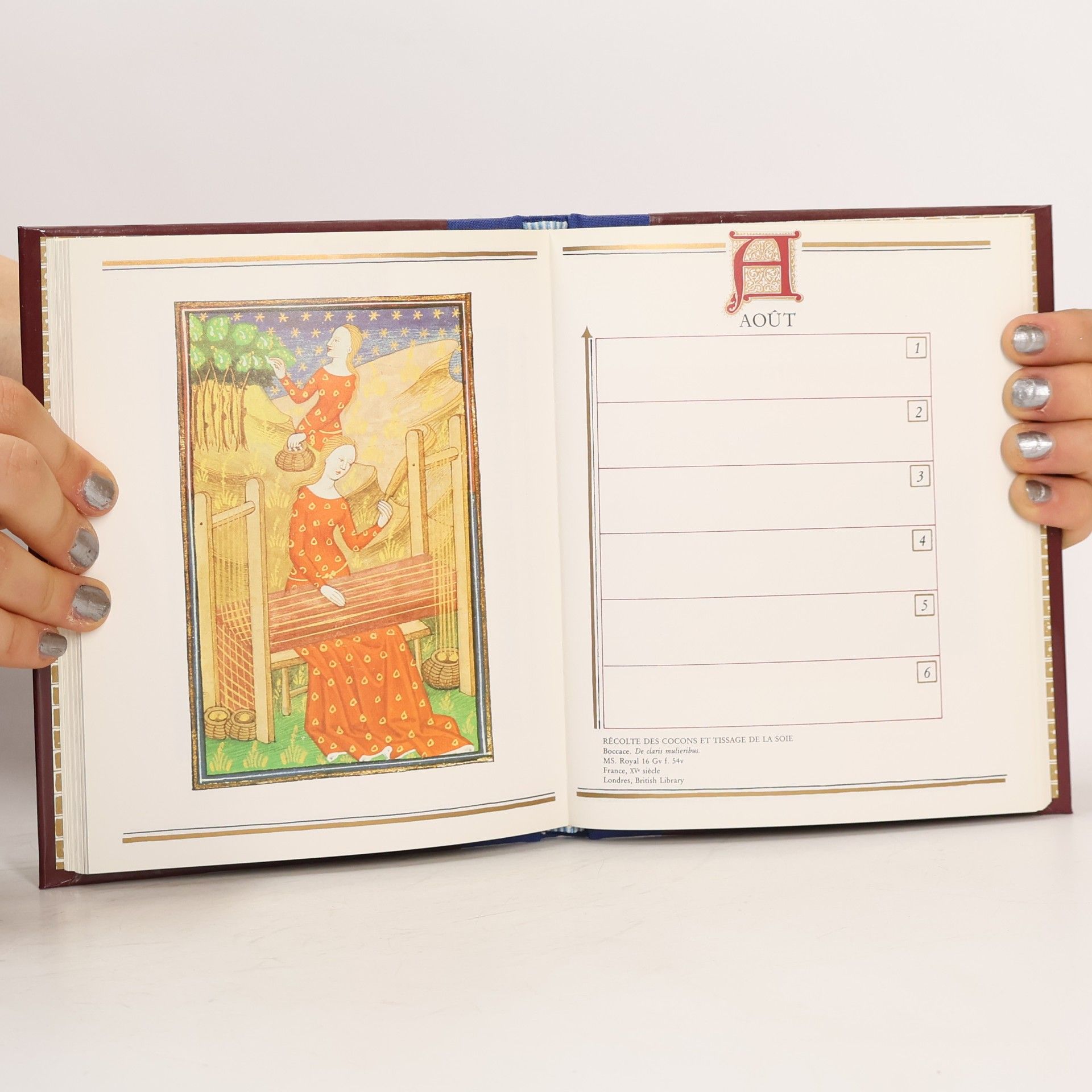 Sally Fox Le livre d'heures (le) car