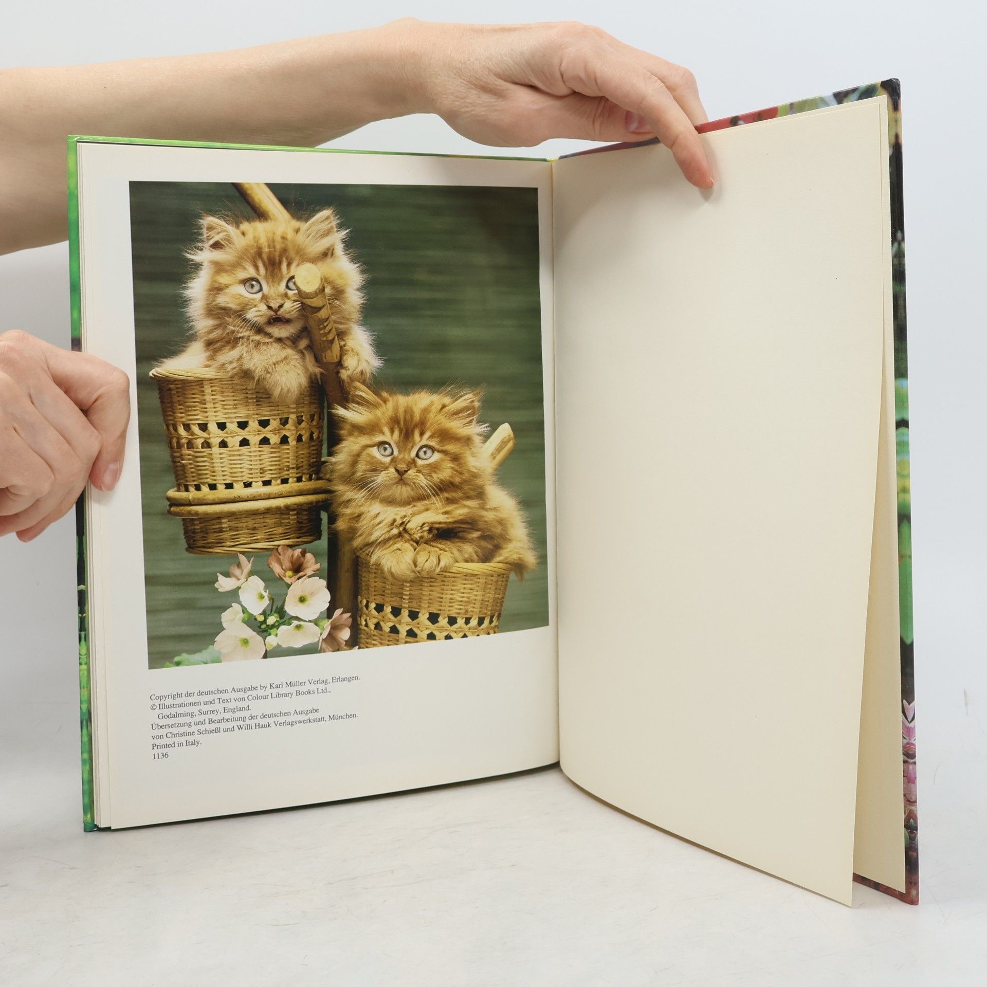 Autorenkollektiv Die Welt der Katzen