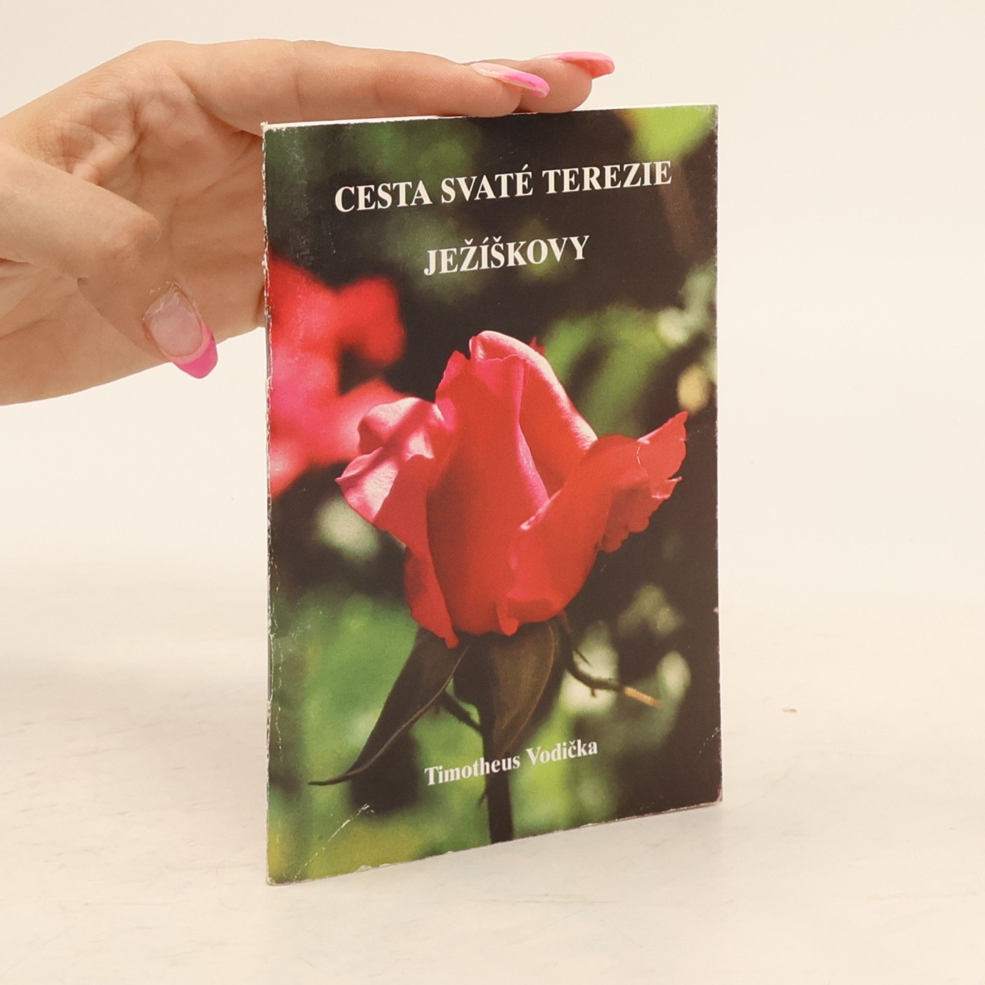 Cesta svaté Terezie Ježíškovi