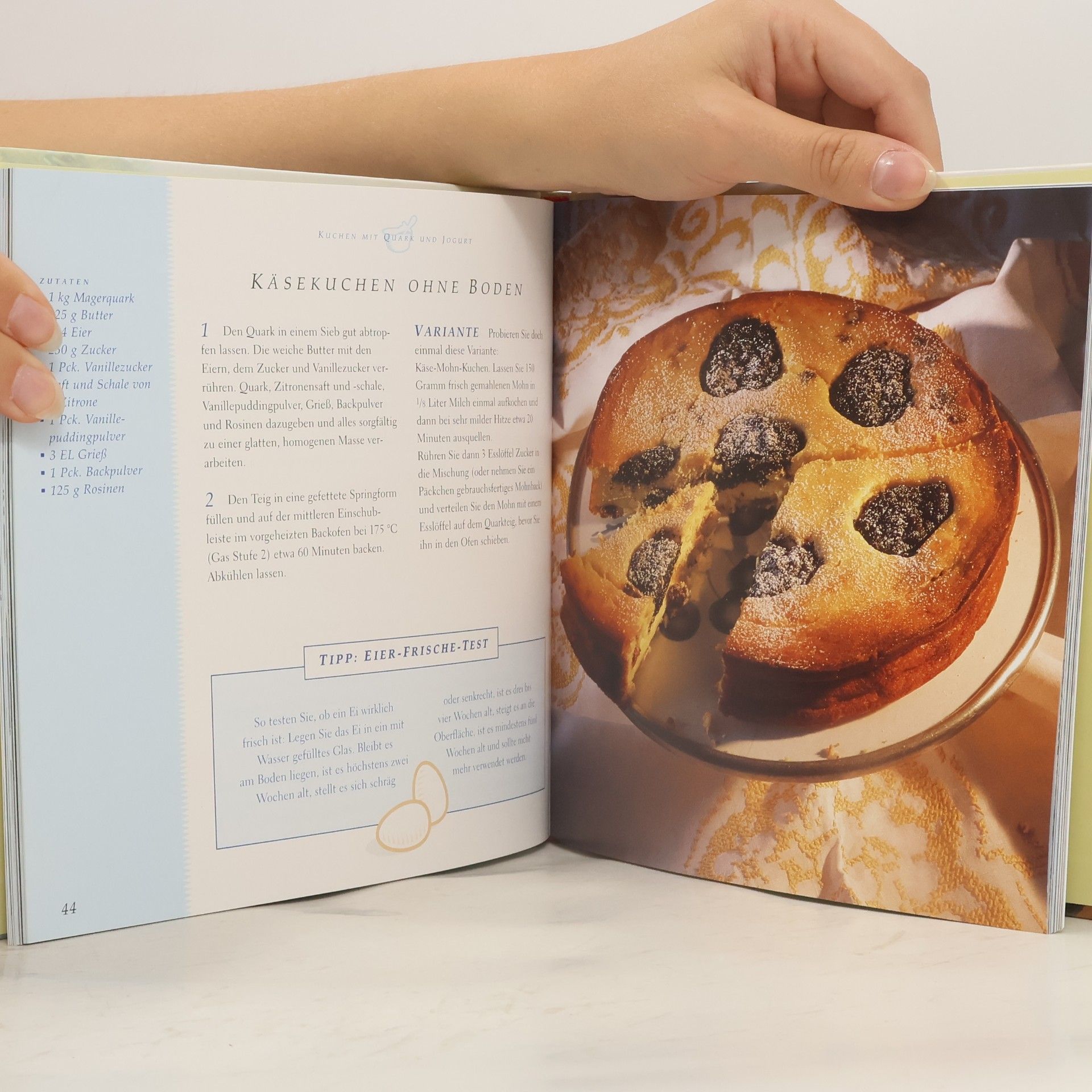 Ricarda Nolte Kuchen und Torten