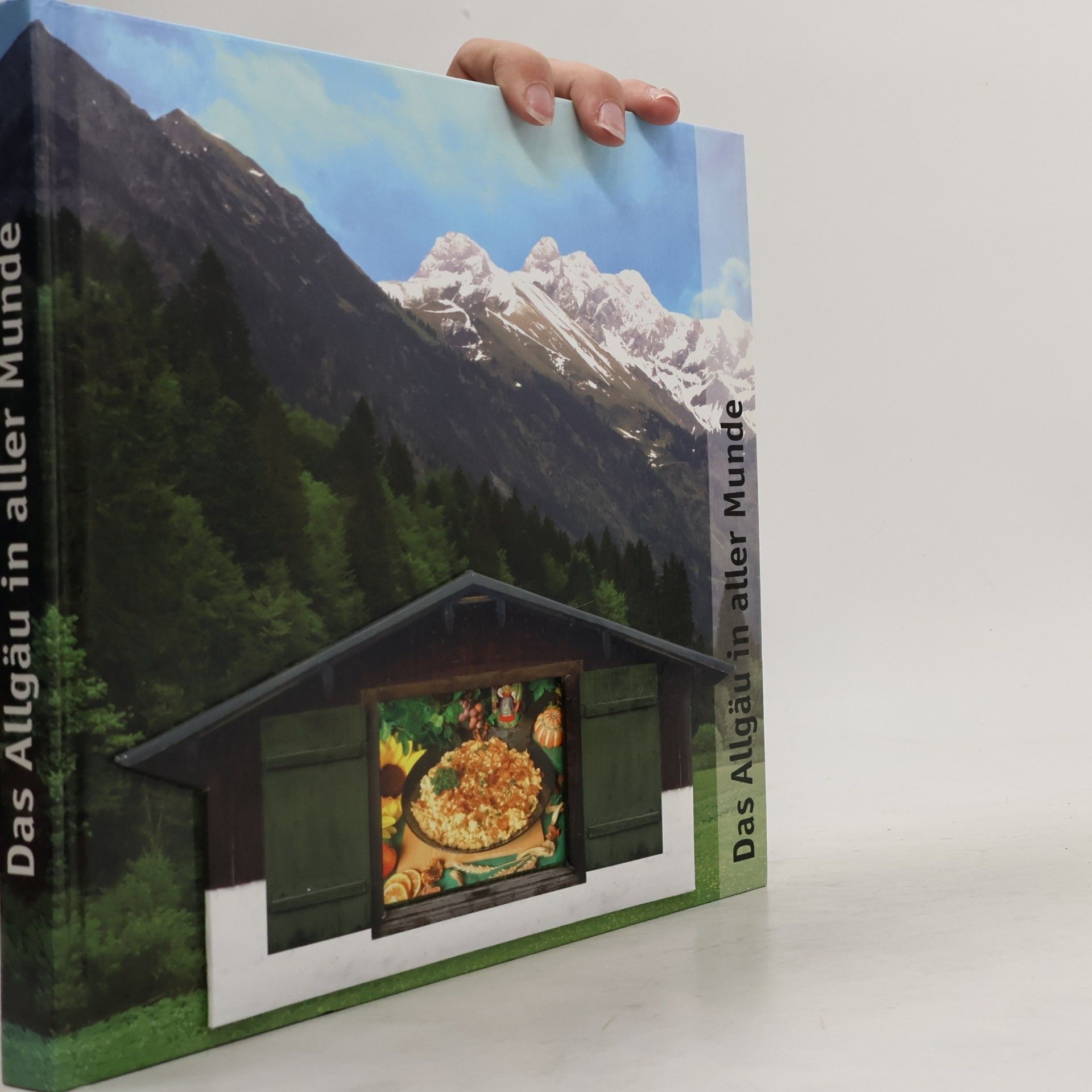 Autores varios Das Allgäu in aller Munde