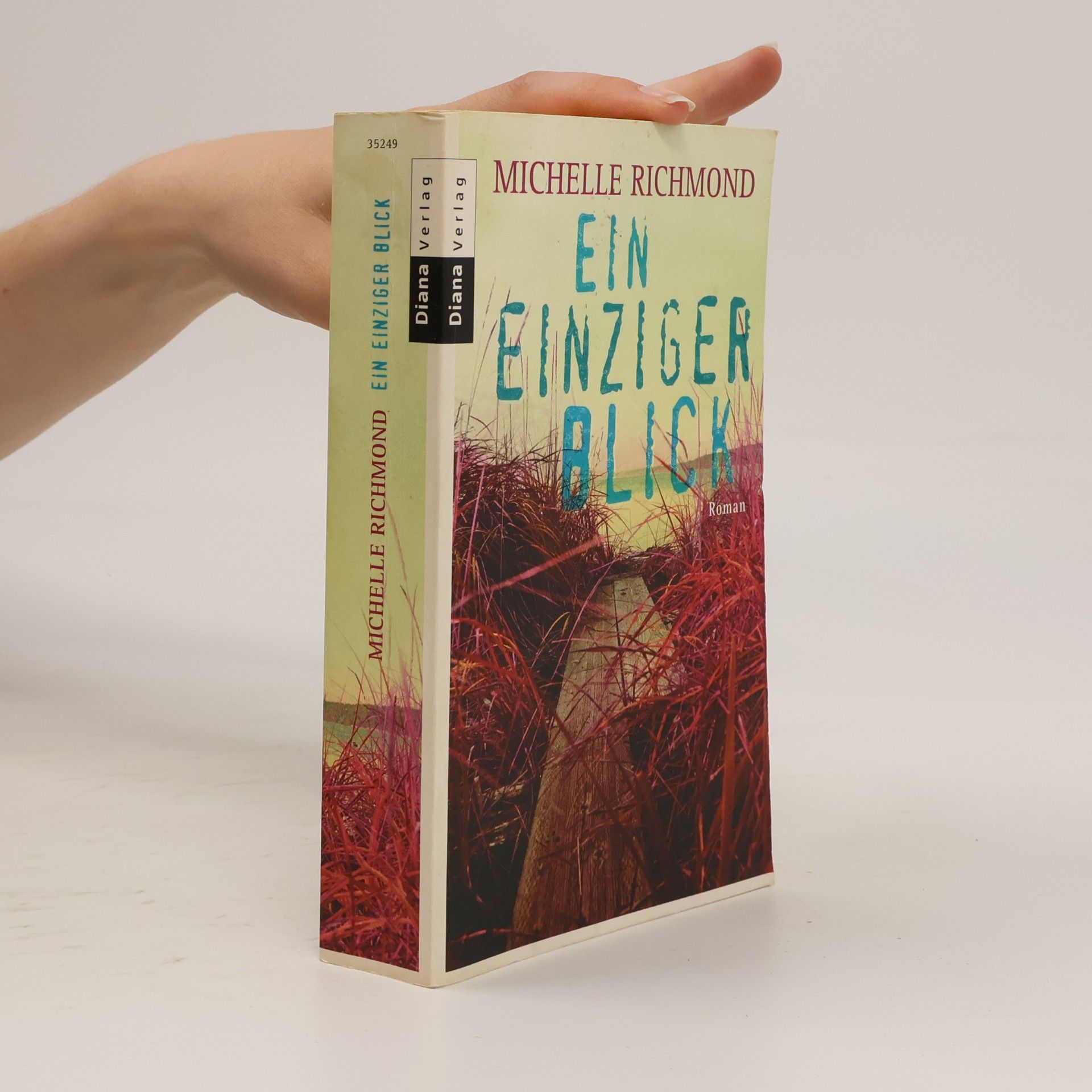 Michelle Richmond Ein einziger Blick
