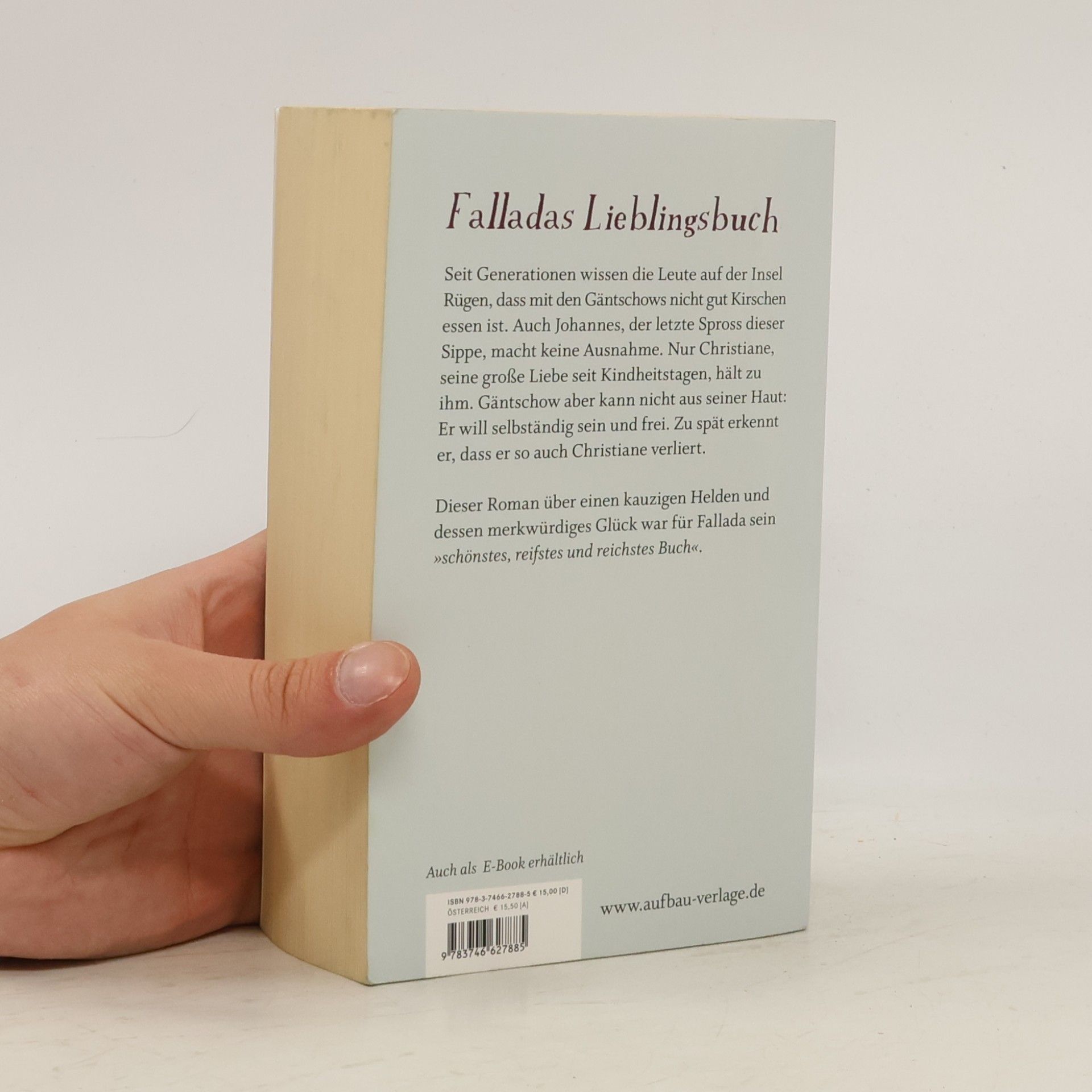 Hans Fallada Wir hatten mal ein Kind