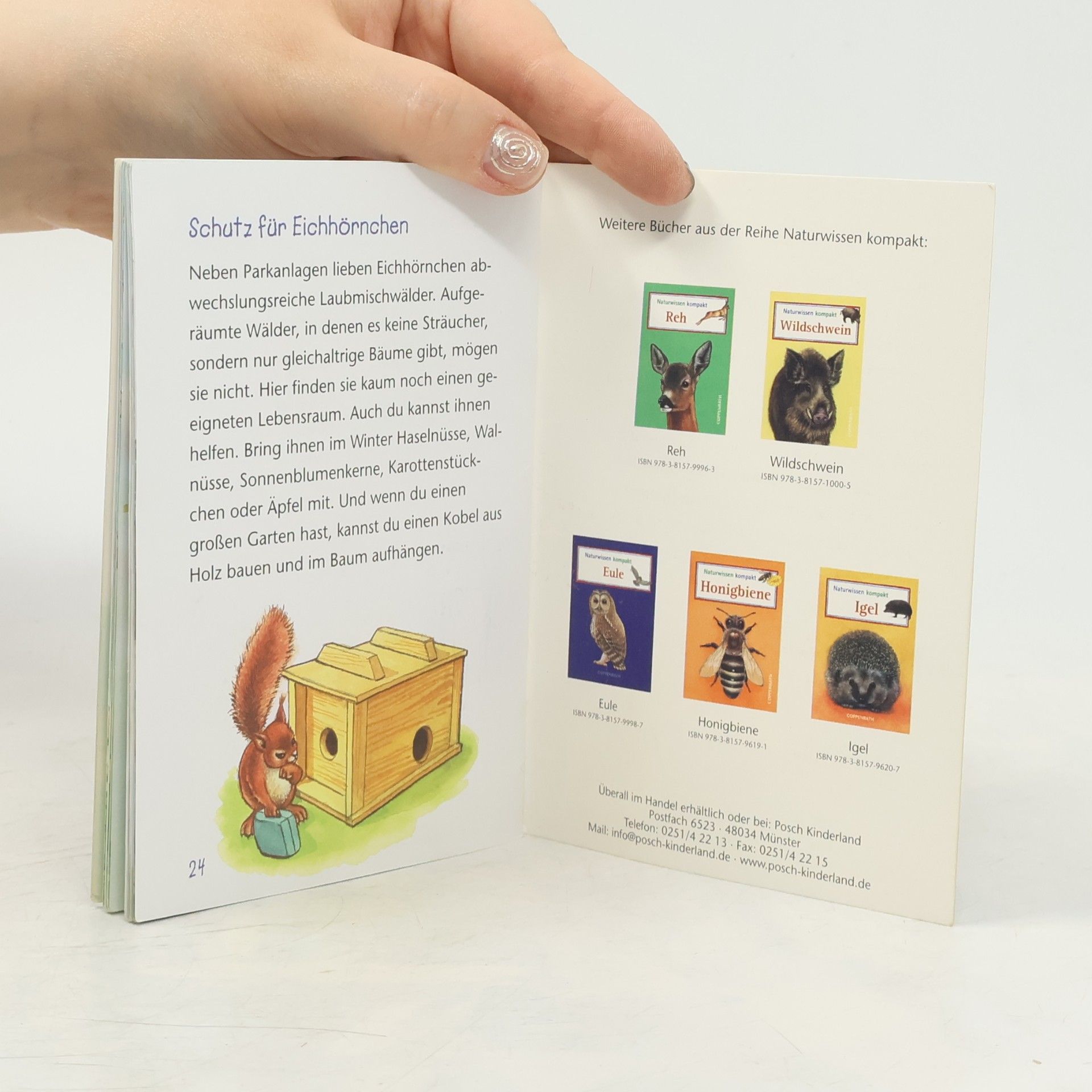 Autorenkollektiv Eichhörnchen