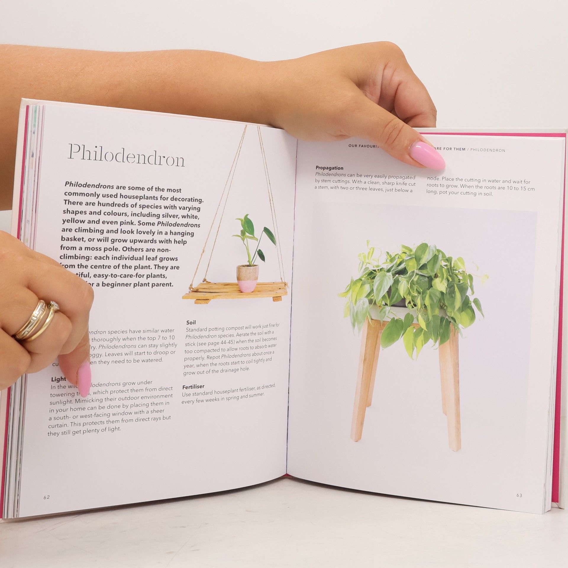 Erin Harding How to raise a plant and make it love you back