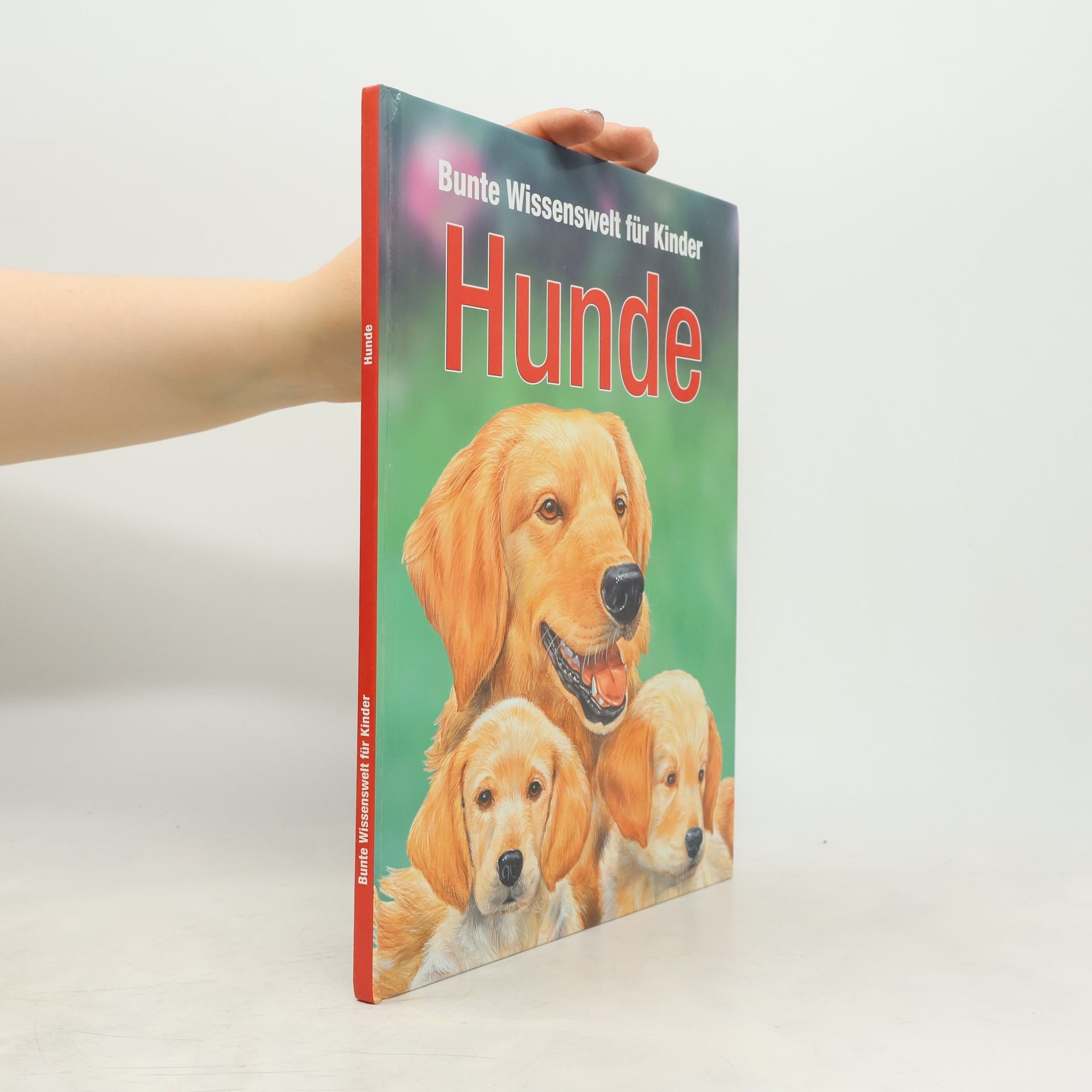 Autorenkollektiv Bunte Wissenswelt für Kinder: Hunde
