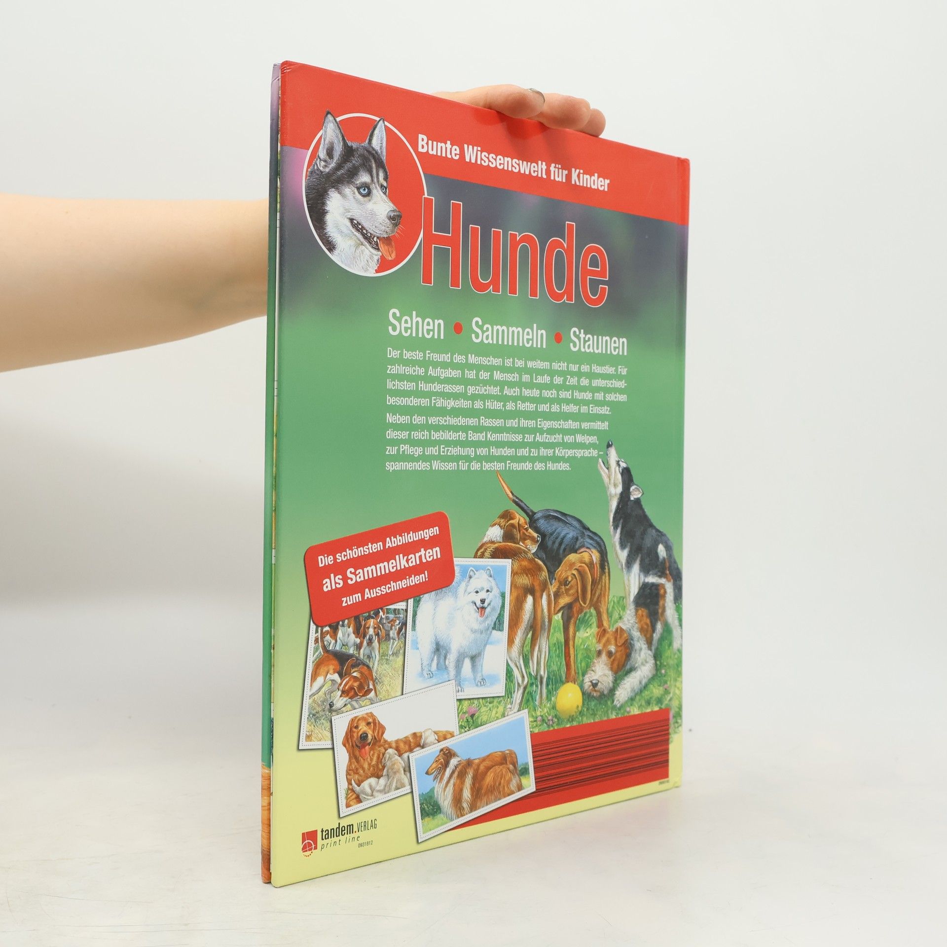 Autorenkollektiv Bunte Wissenswelt für Kinder: Hunde