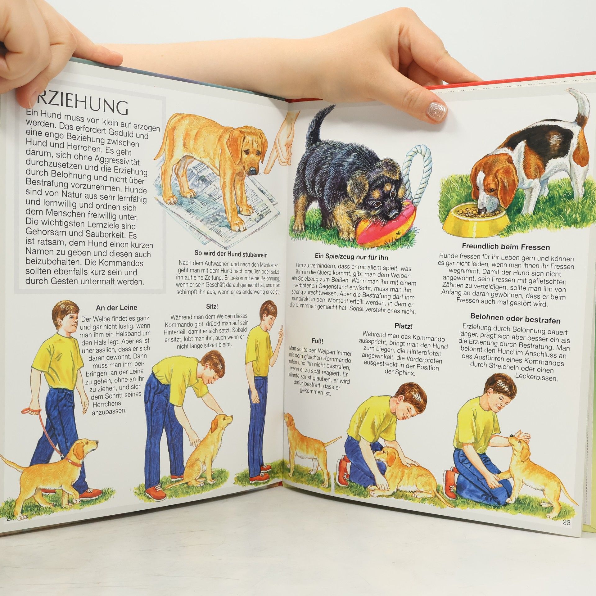 Autorenkollektiv Bunte Wissenswelt für Kinder: Hunde