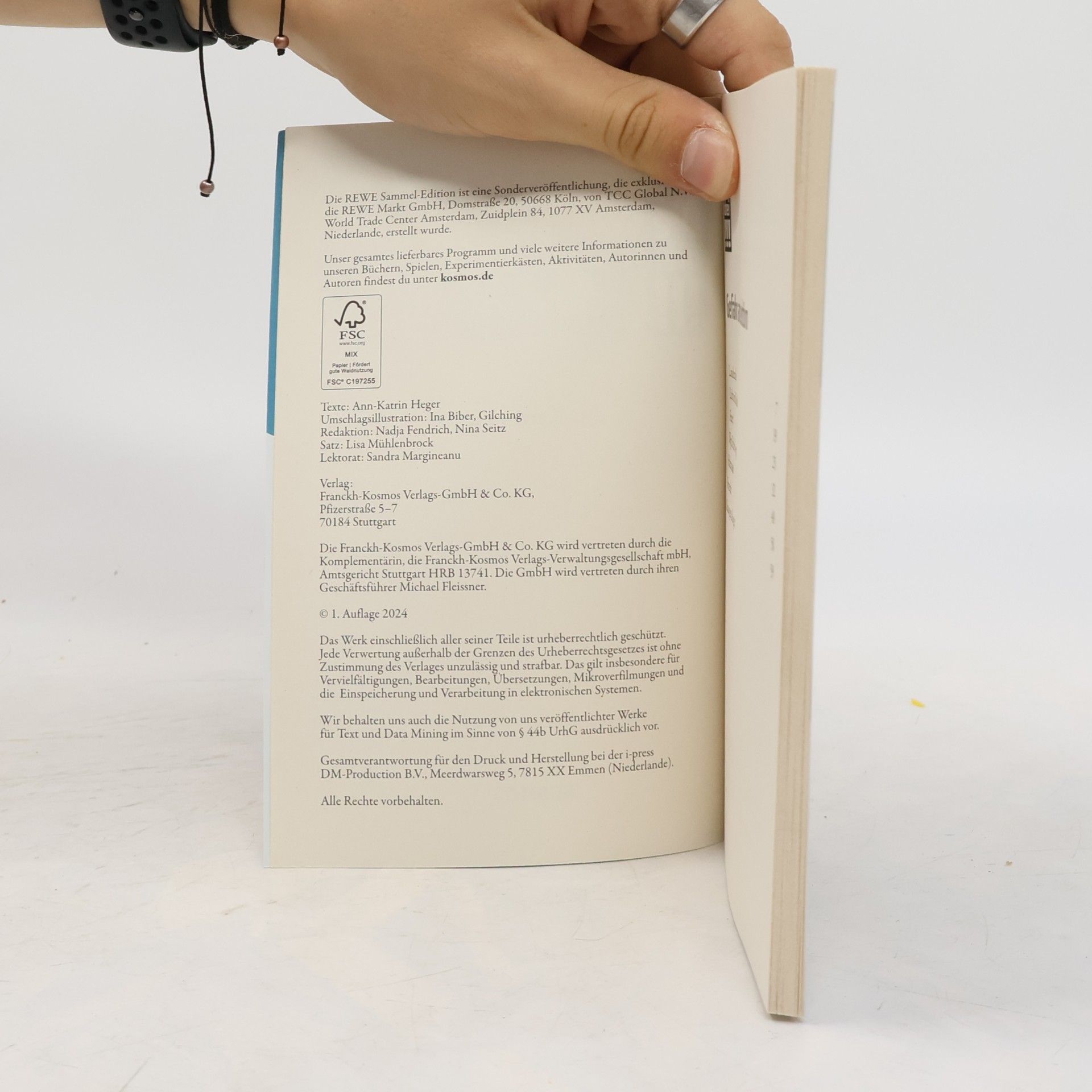 Autorenkollektiv Die drei !!! – Gefahr am Leuchtturm