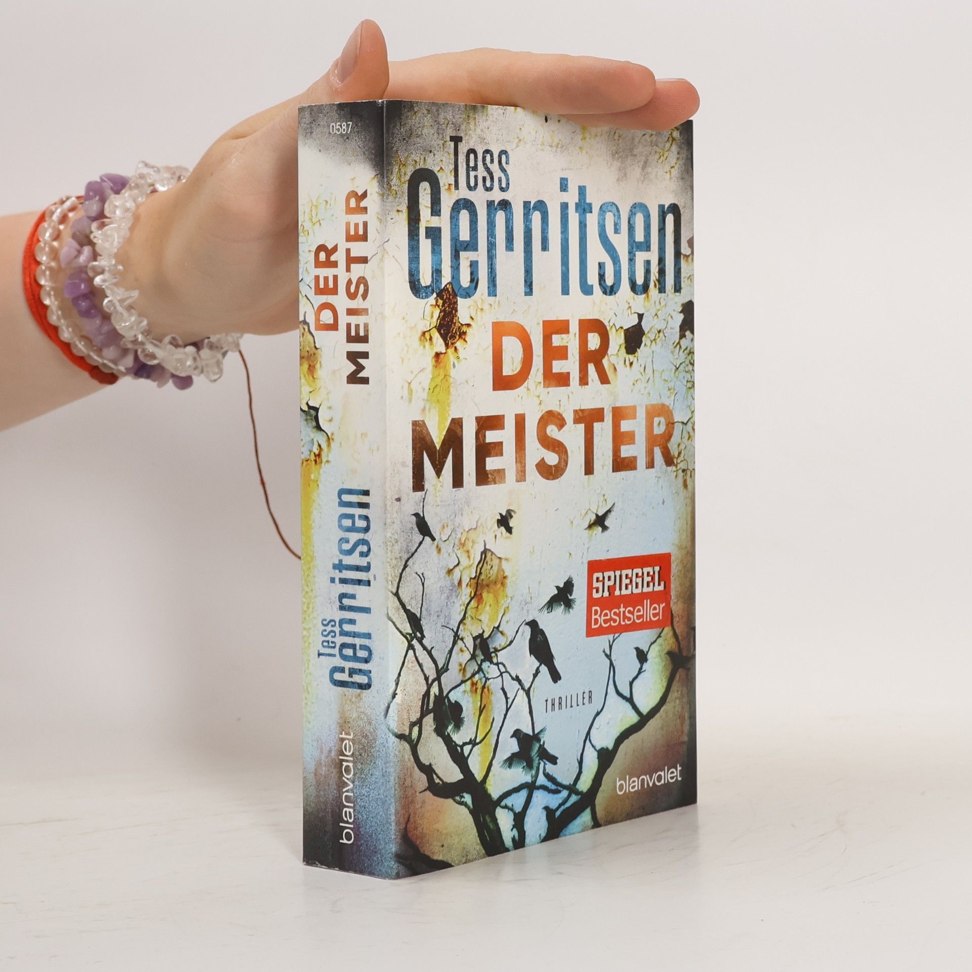 Tess Gerritsen Der Meister