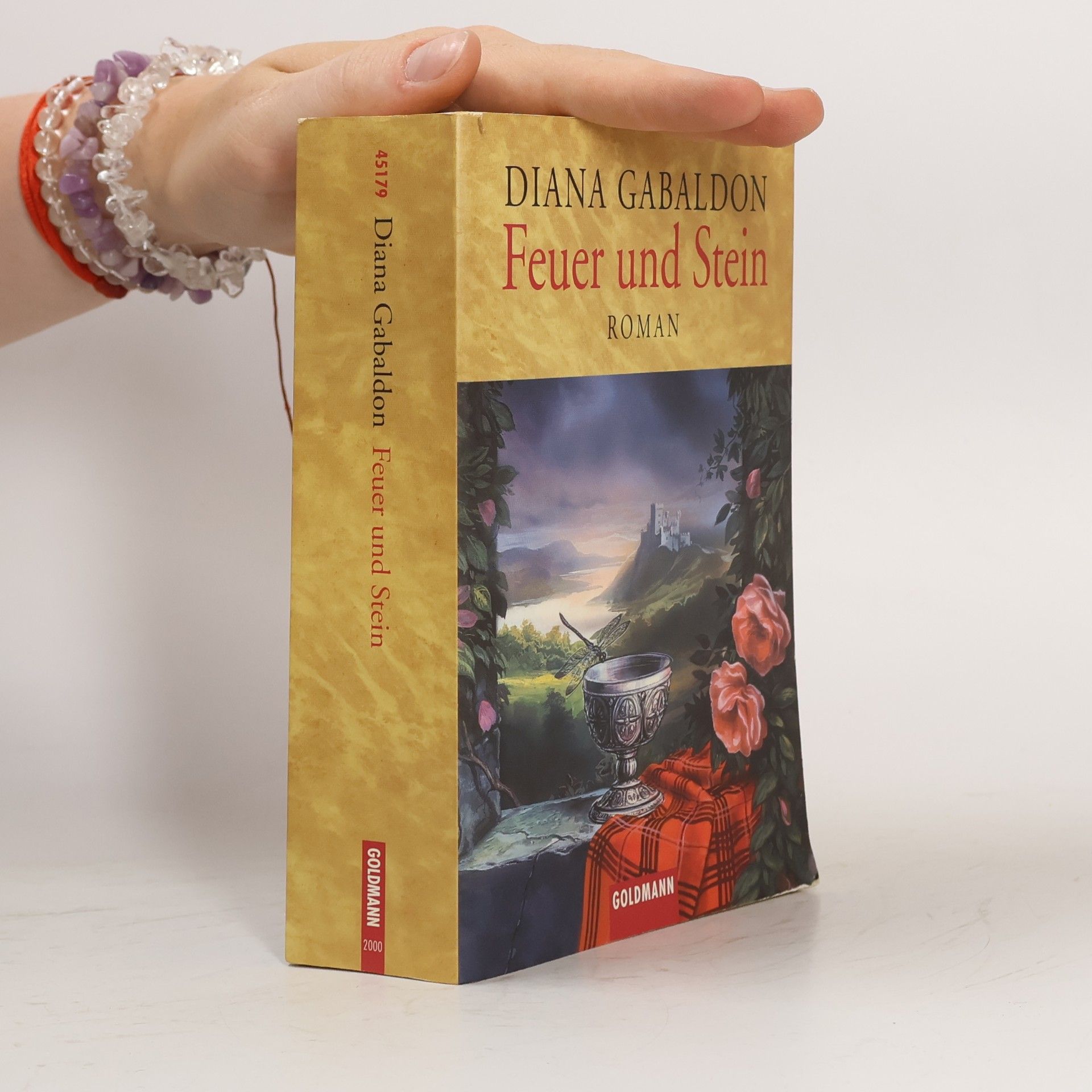 Diana Gabaldon Feuer und Stein