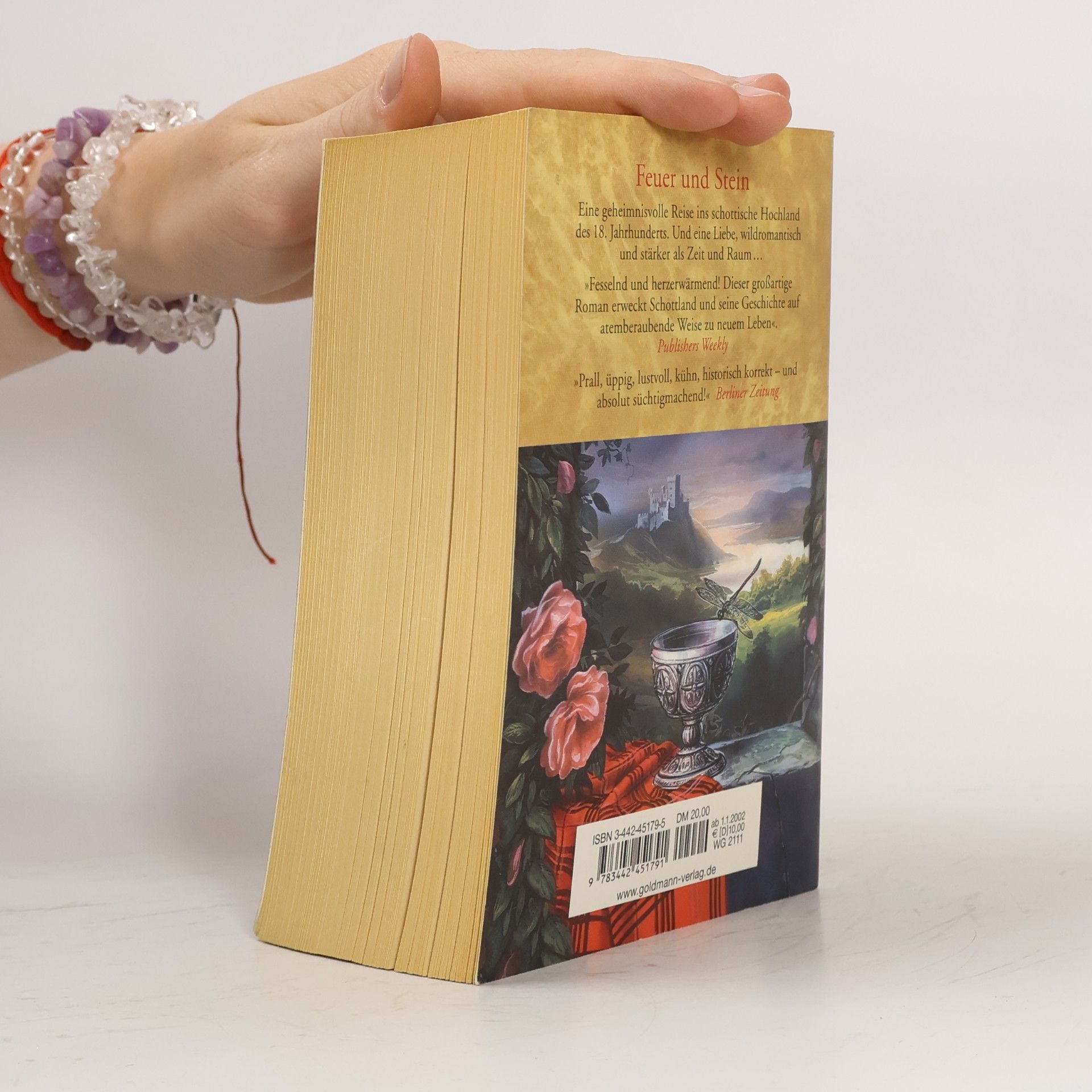 Diana Gabaldon Feuer und Stein
