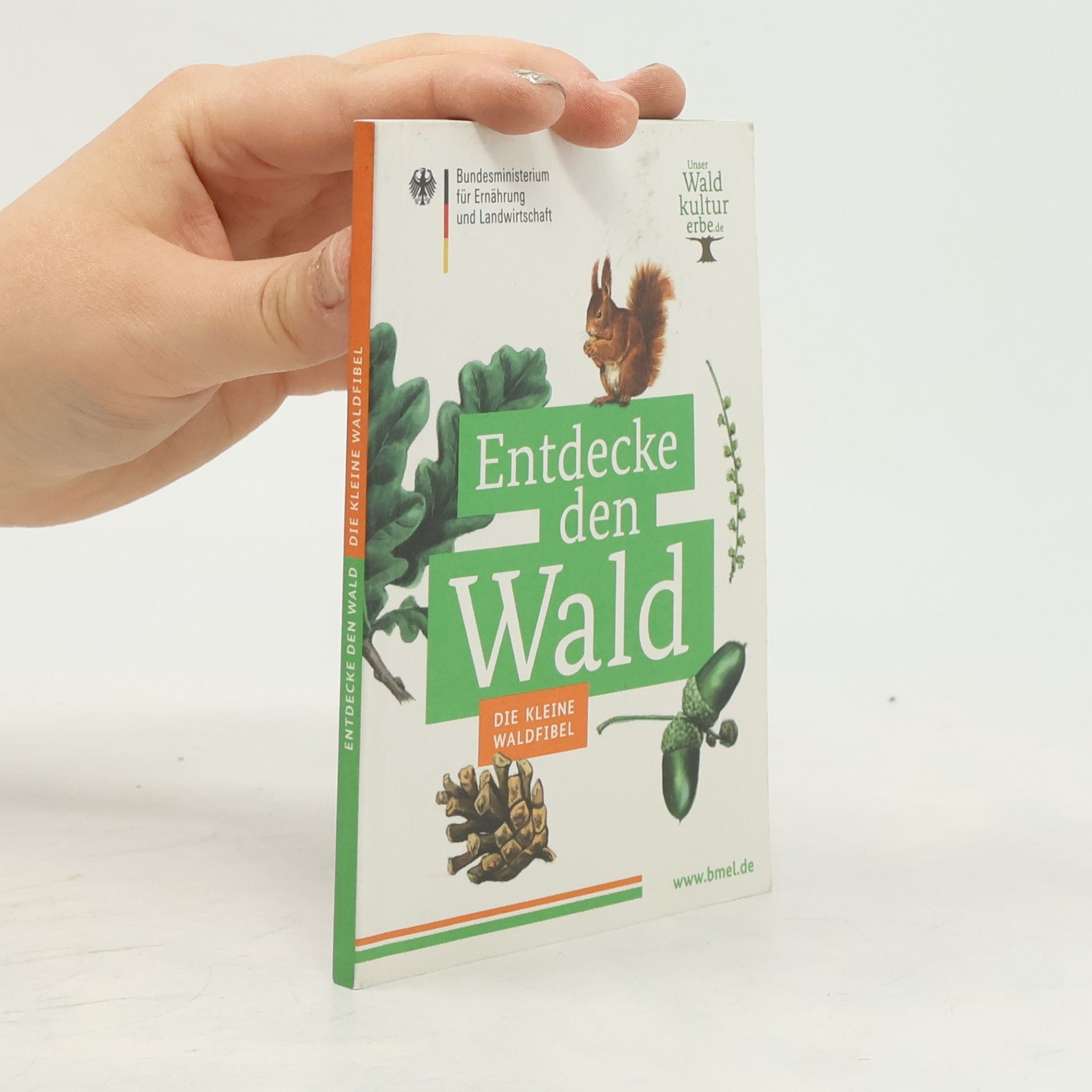 Autorenkollektiv Entdecke den Wald. Die kleine Waldfibel