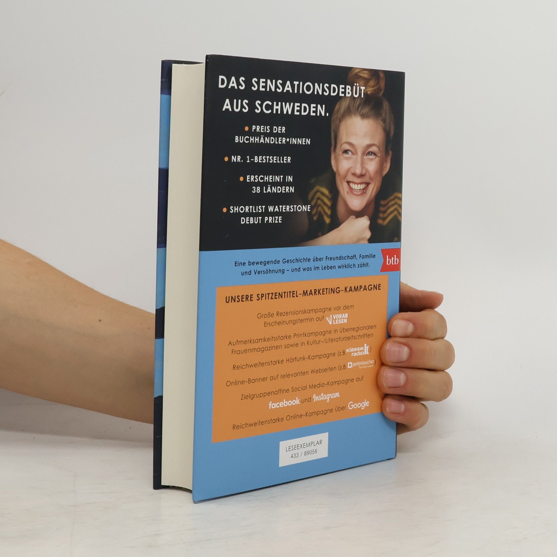 Lisa Ridzén Wenn die Kraniche nach Süden ziehen
