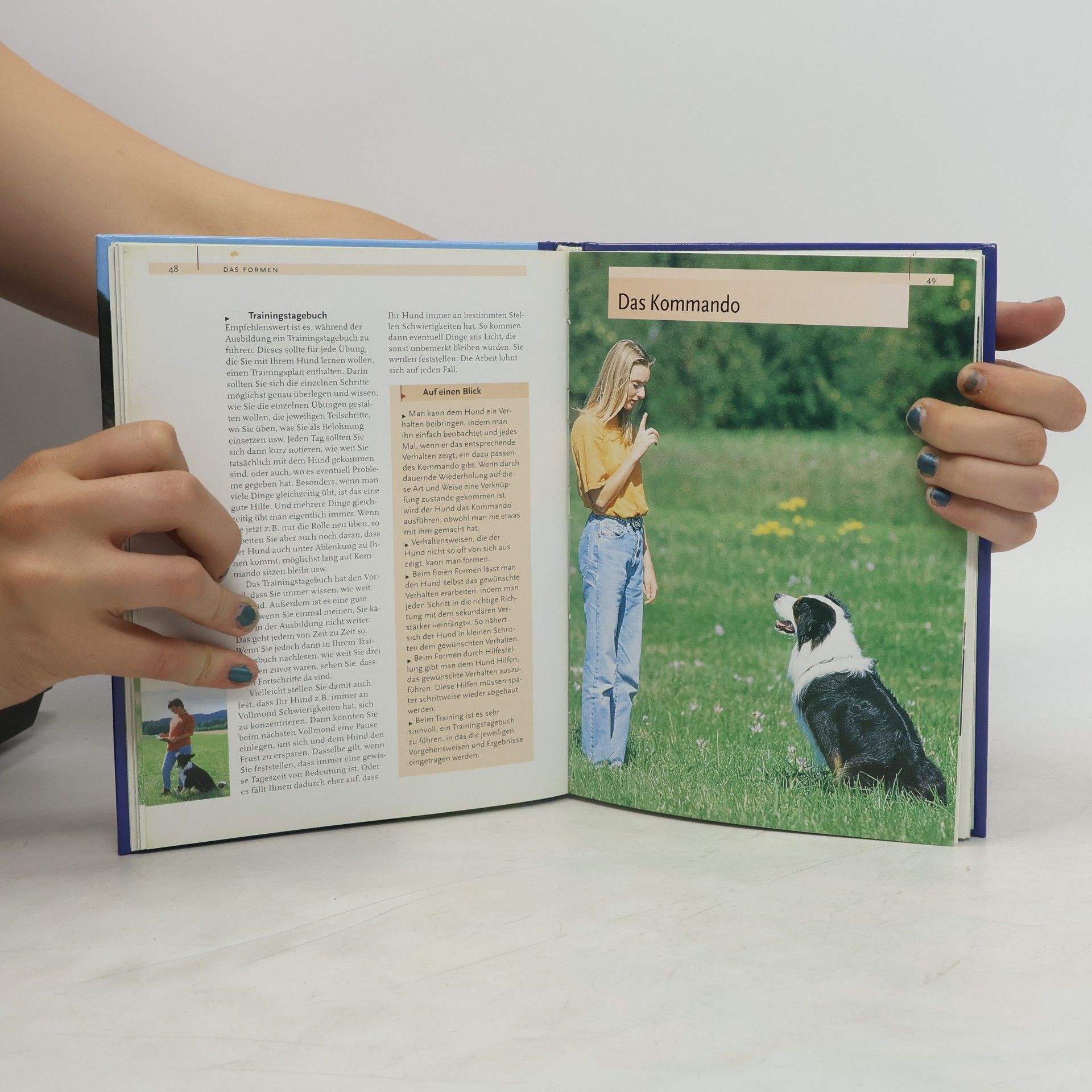 Viviane Theby Hundeschule
