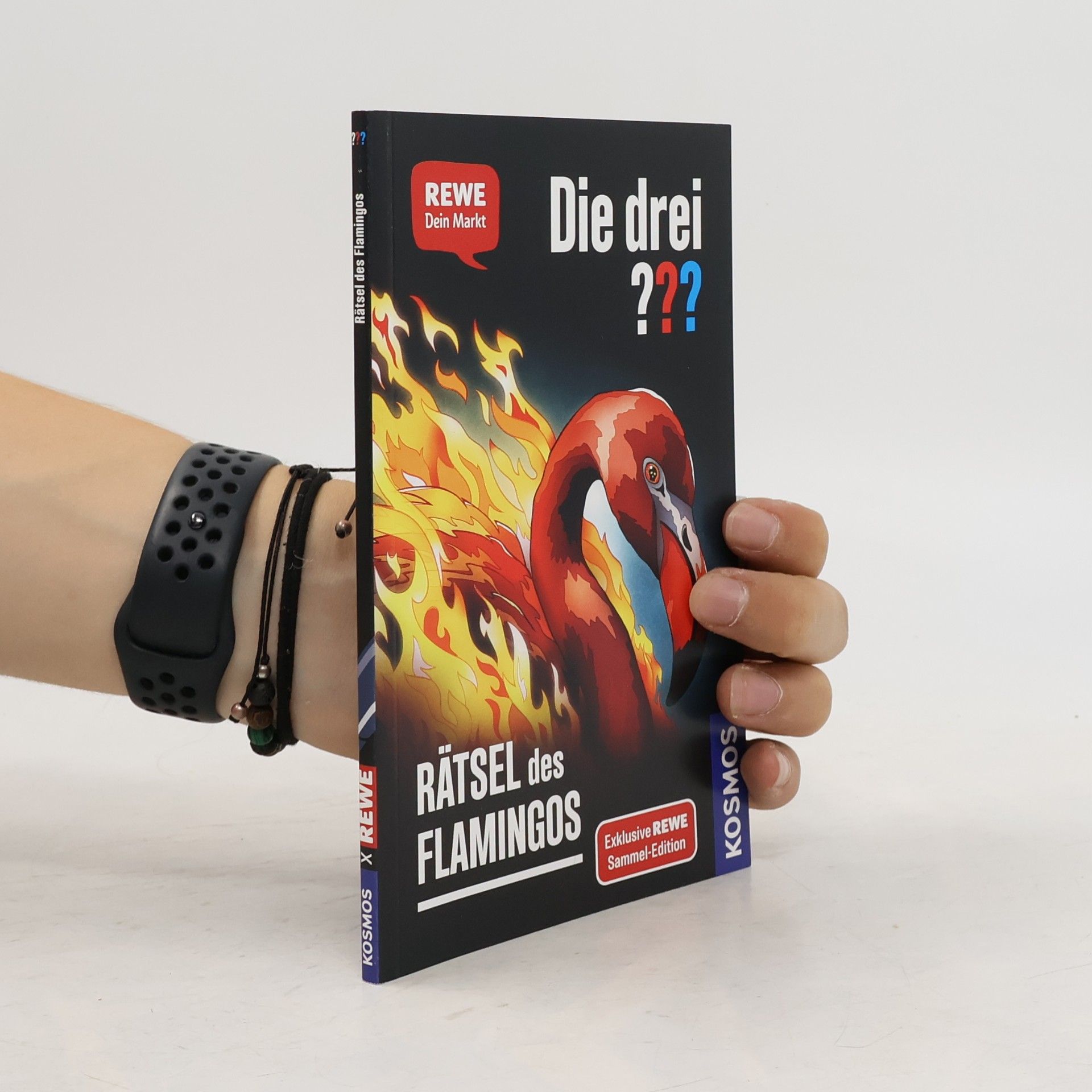 Andreas Ruch Die drei??? Rätsel des Flamingos