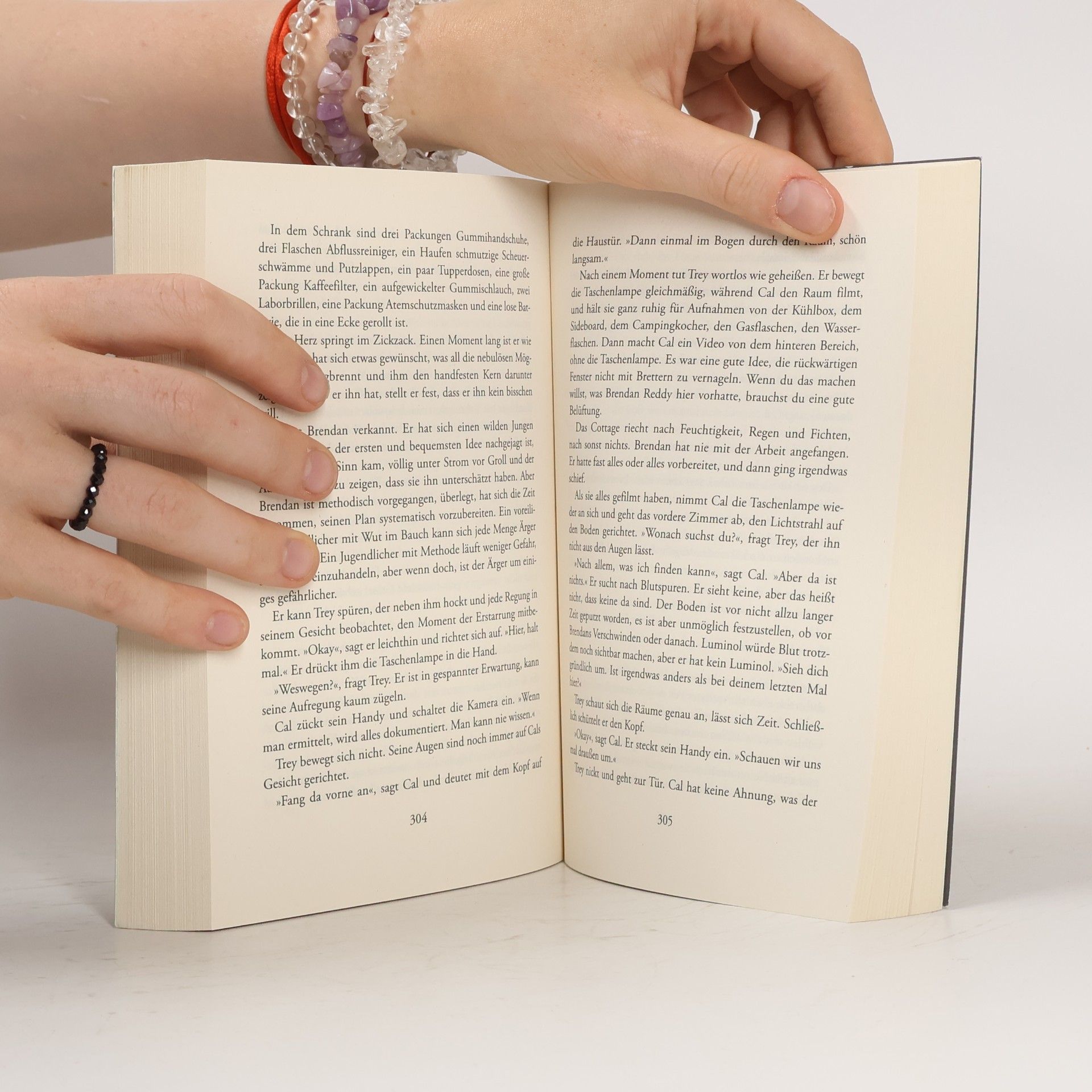 Tana French Der Sucher