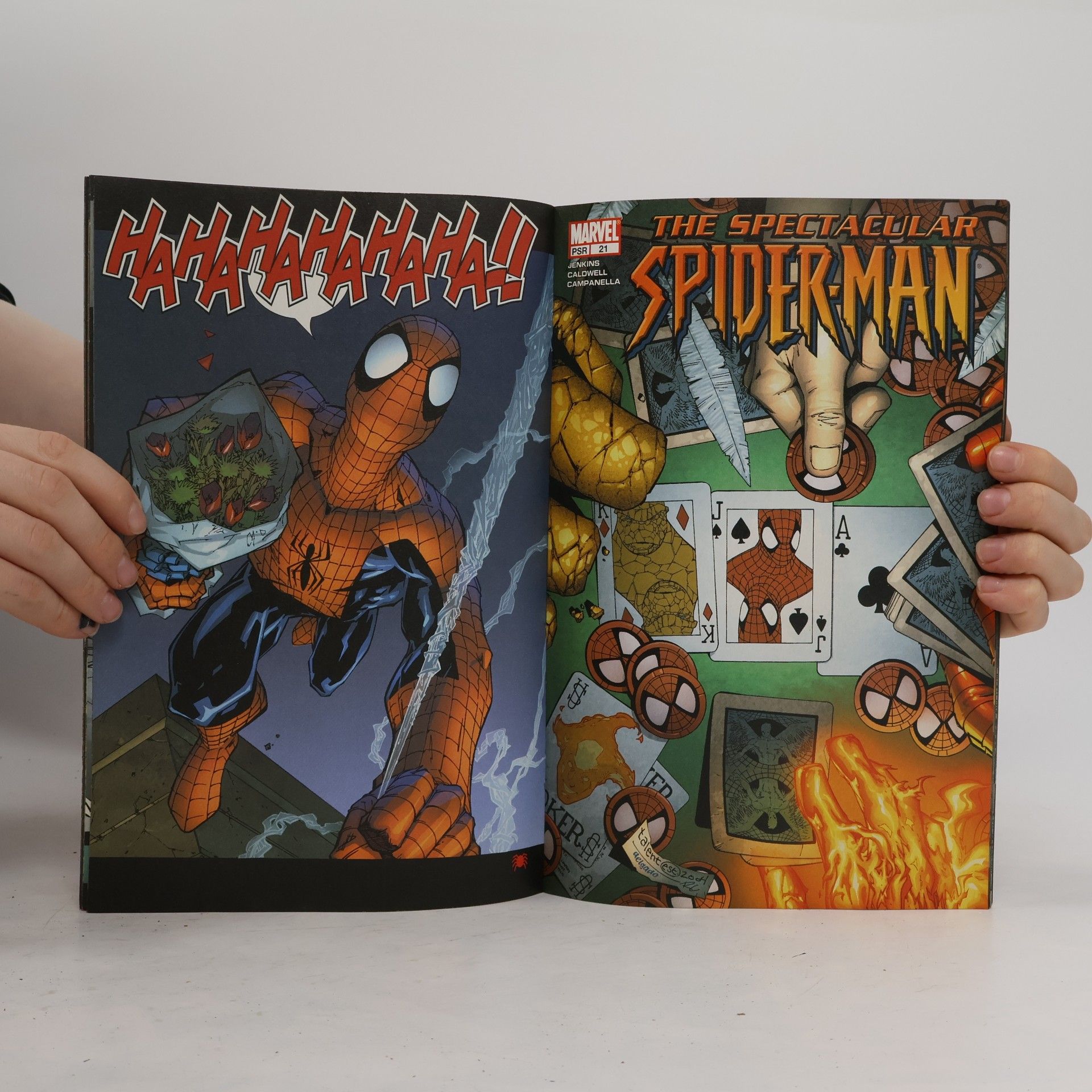 Autorenkollektiv Der spektakuläre Spider-Man 19