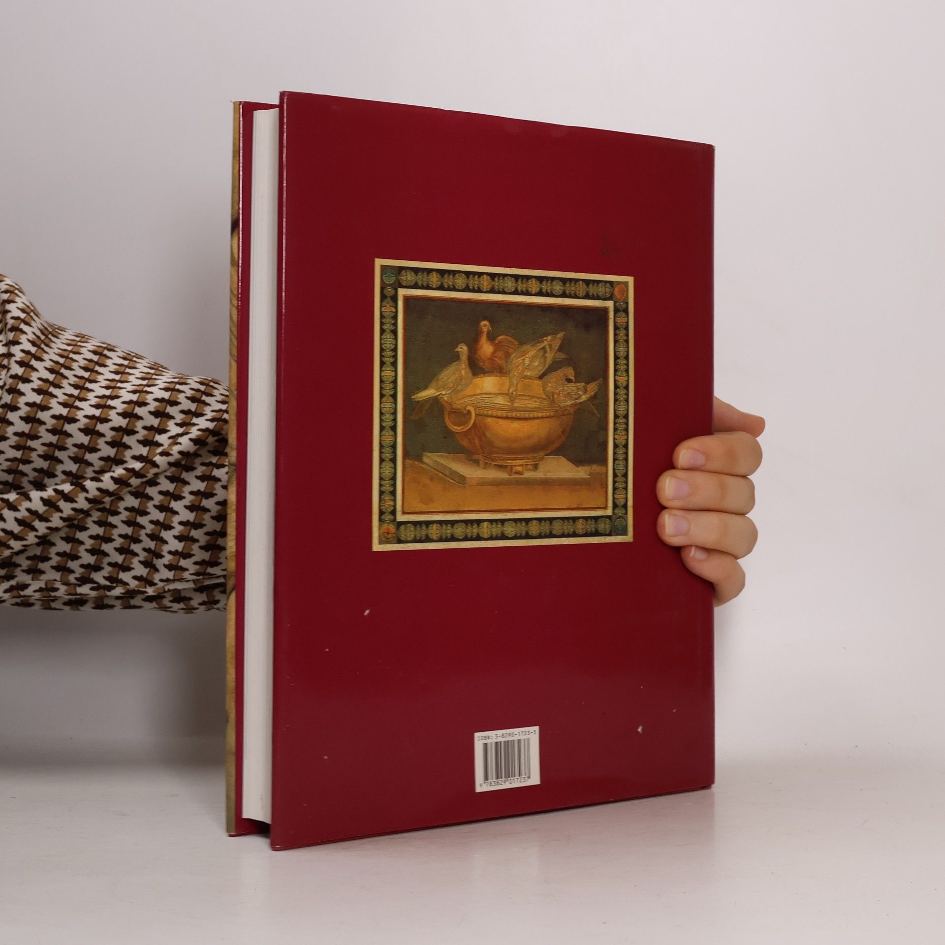 John Griffiths Pedley Griechische Kunst und Archäologie