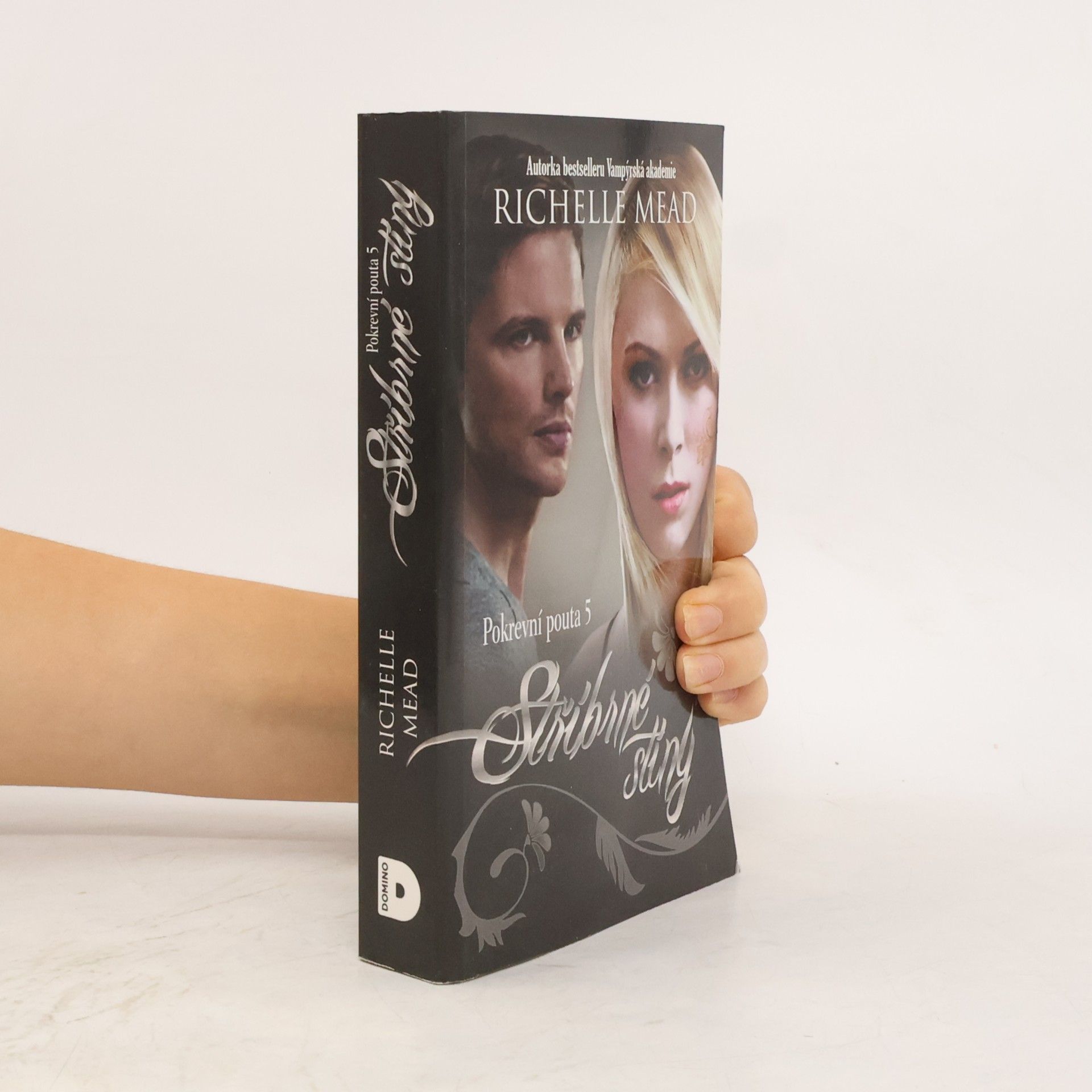 Richelle Mead Stříbrné stíny. Pokrevní pouta. 5. díl