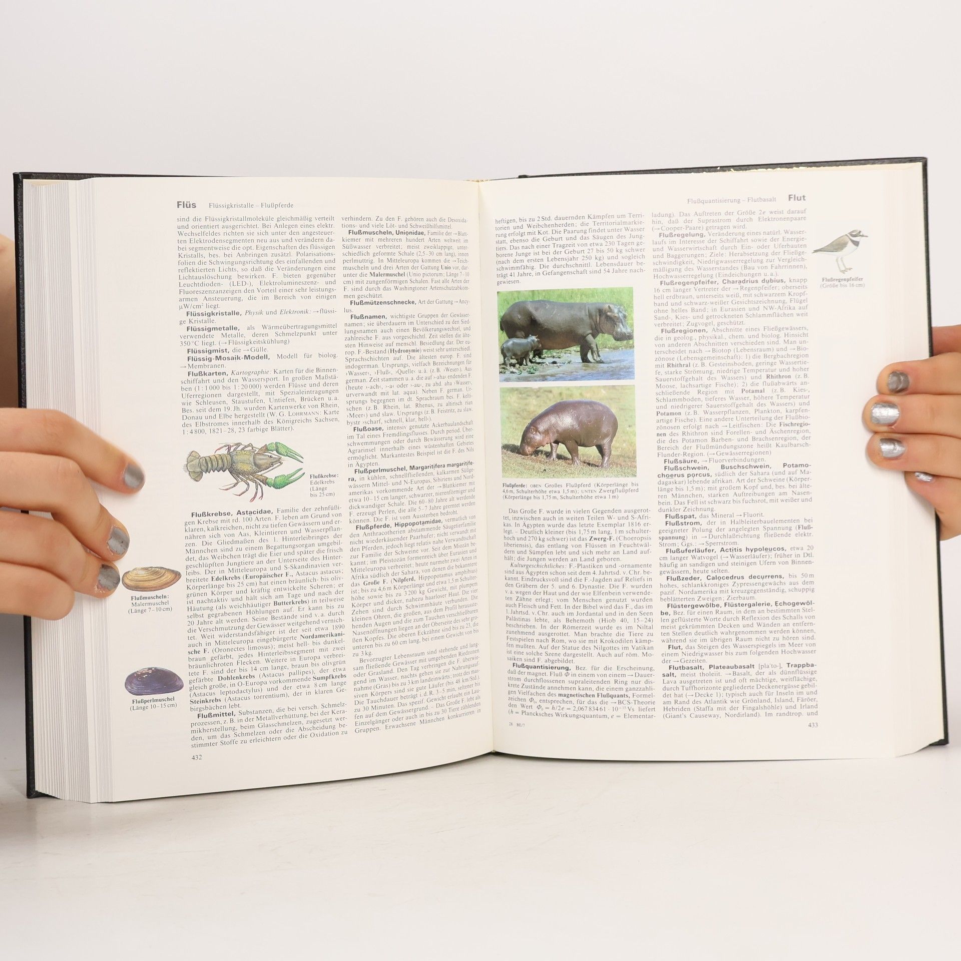 Autorenkollektiv Brockhaus Enzyklopädie 7 (EX-FRT)