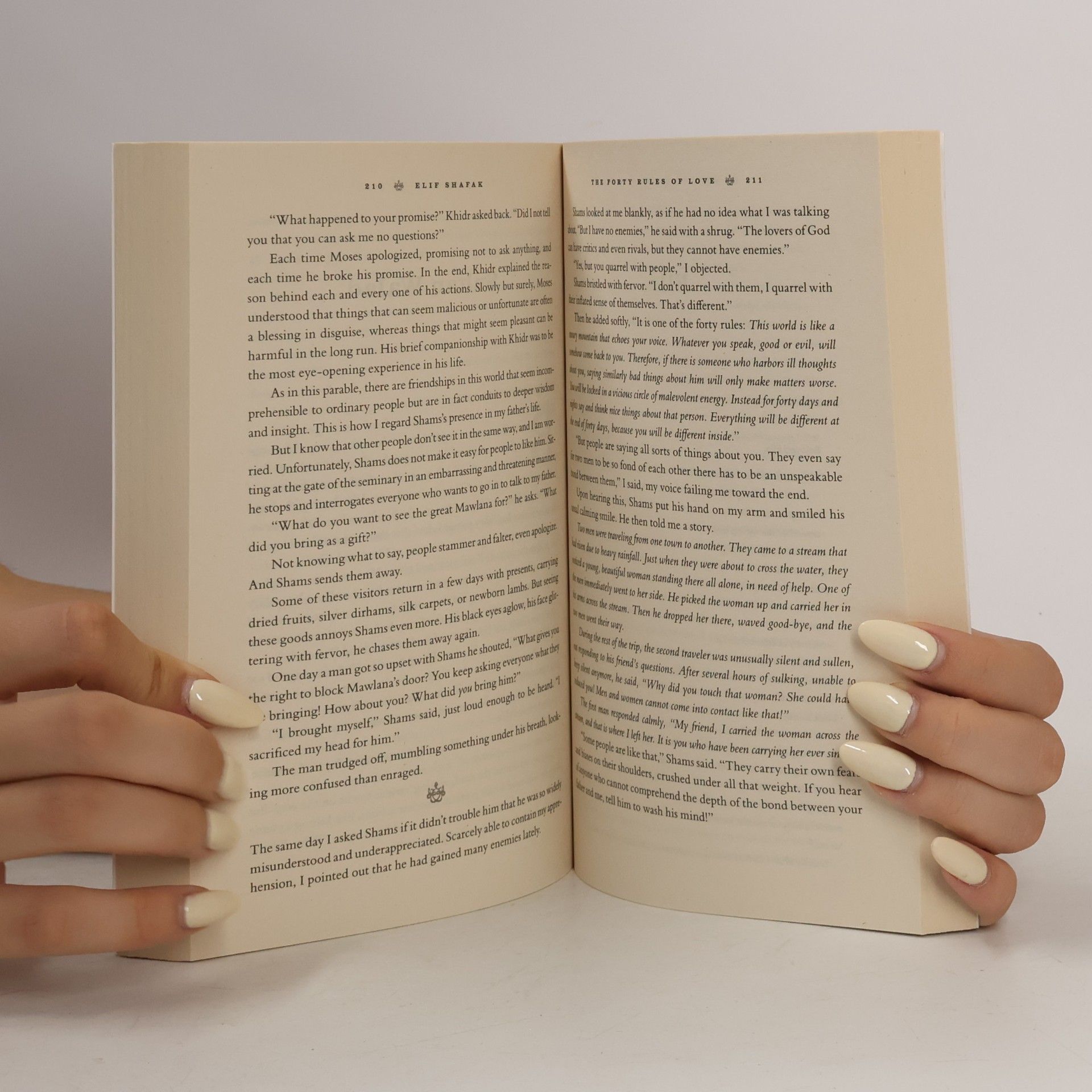 Elif Şafak The forty rules of love