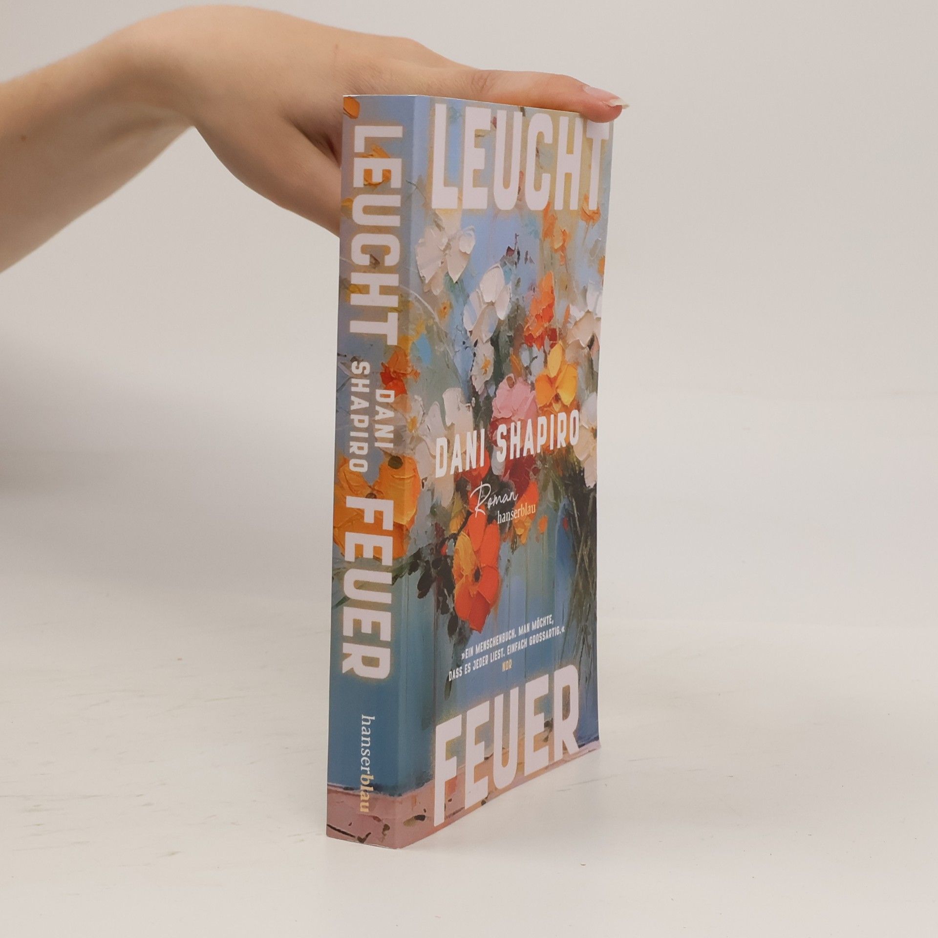 Dani Shapiro Leuchtfeuer