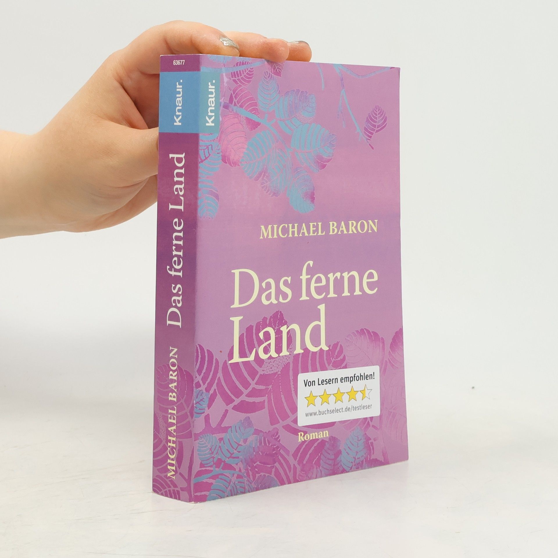 Das ferne Land