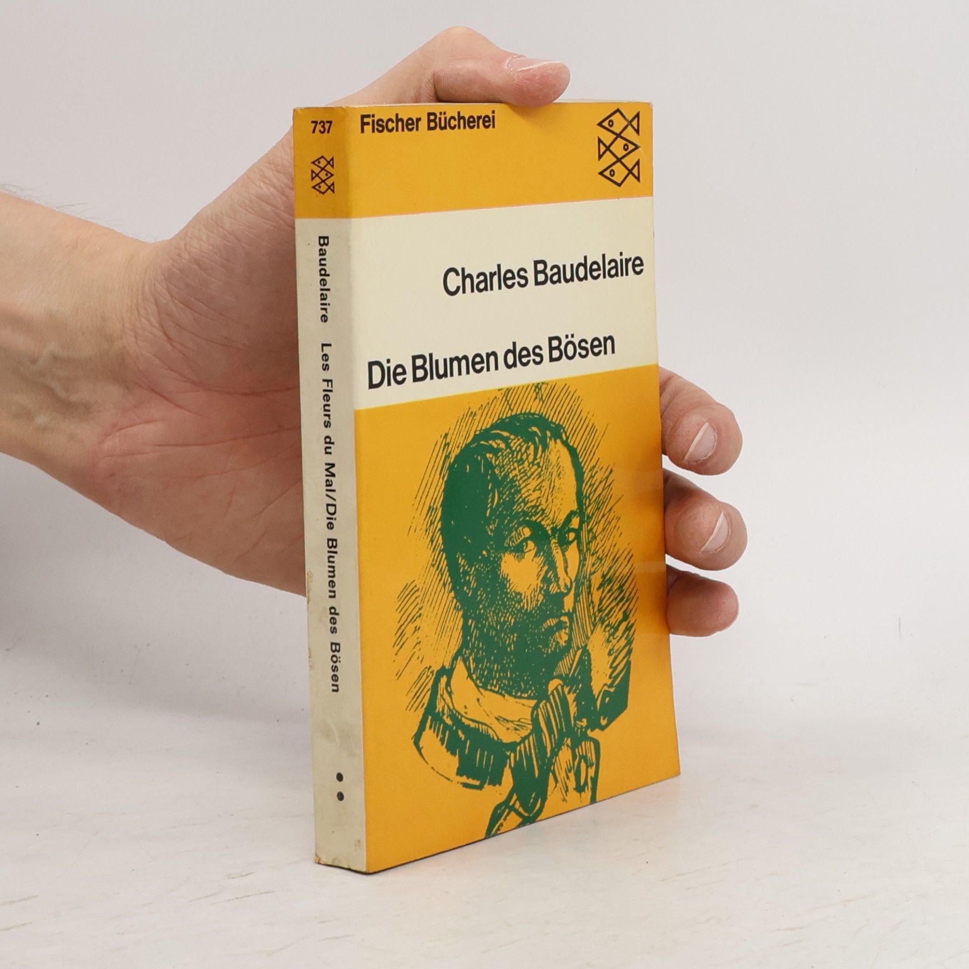Charles Baudelaire Die Blumen des Bösen