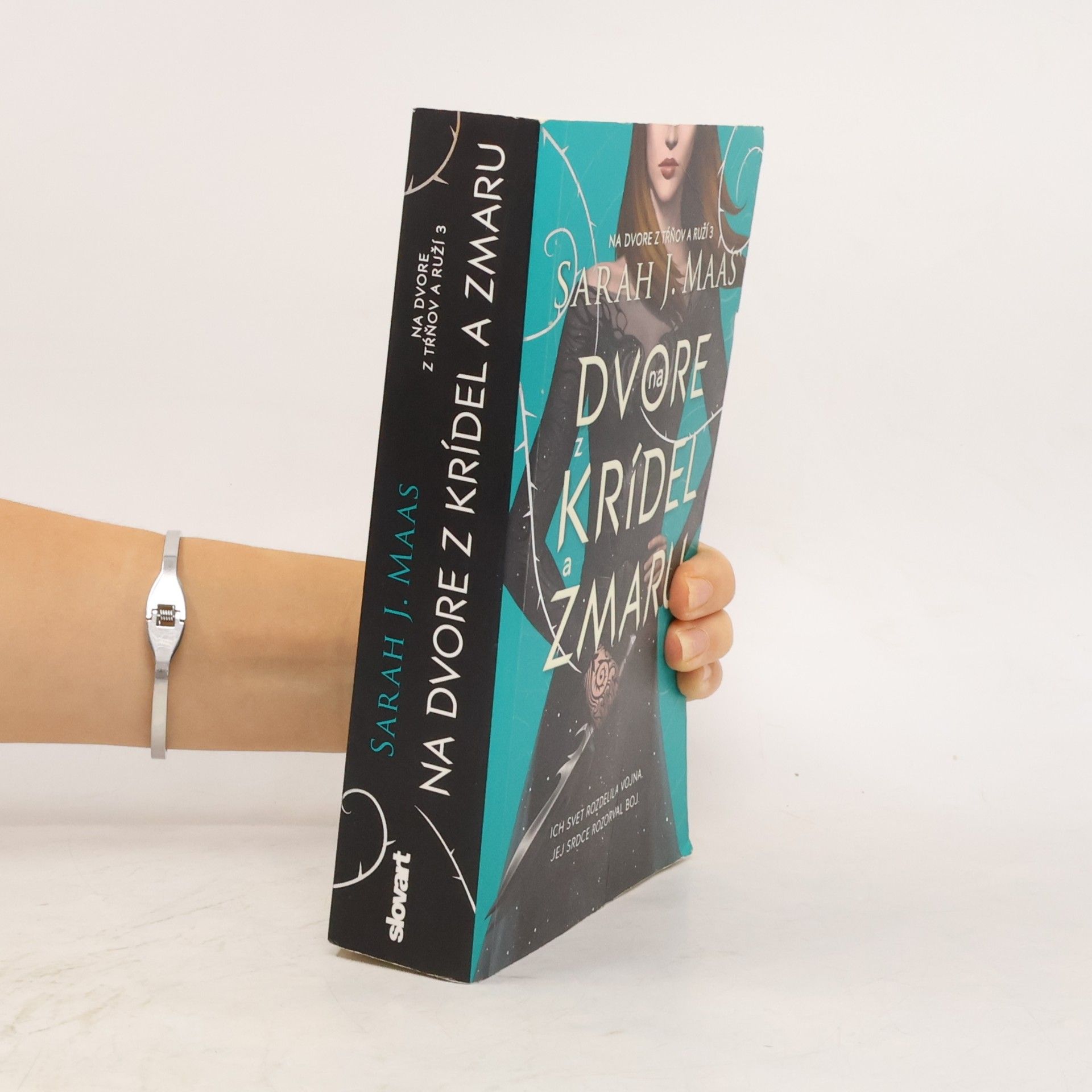 Sarah J. Maas Na dvore z krídel a zmaru