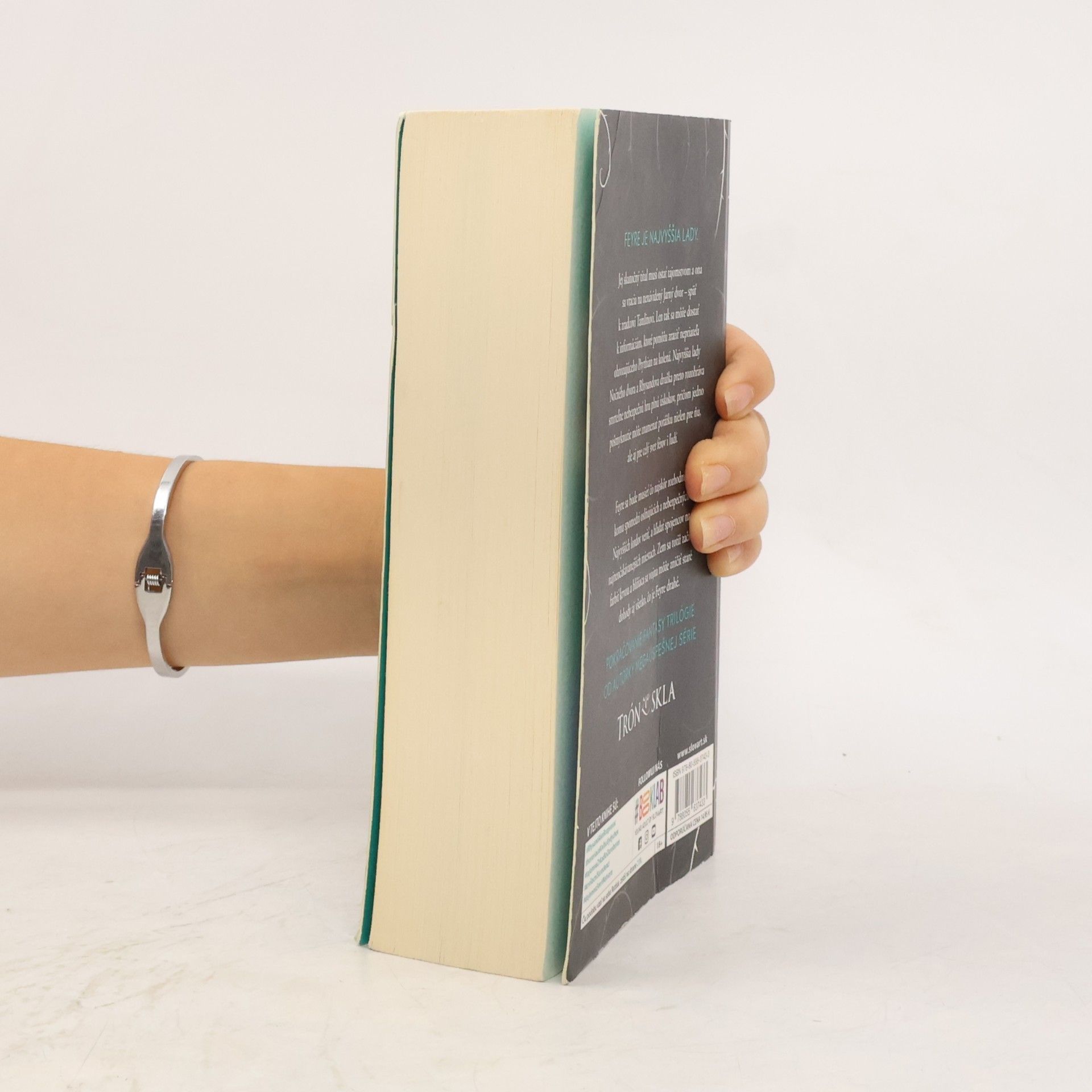 Sarah J. Maas Na dvore z krídel a zmaru