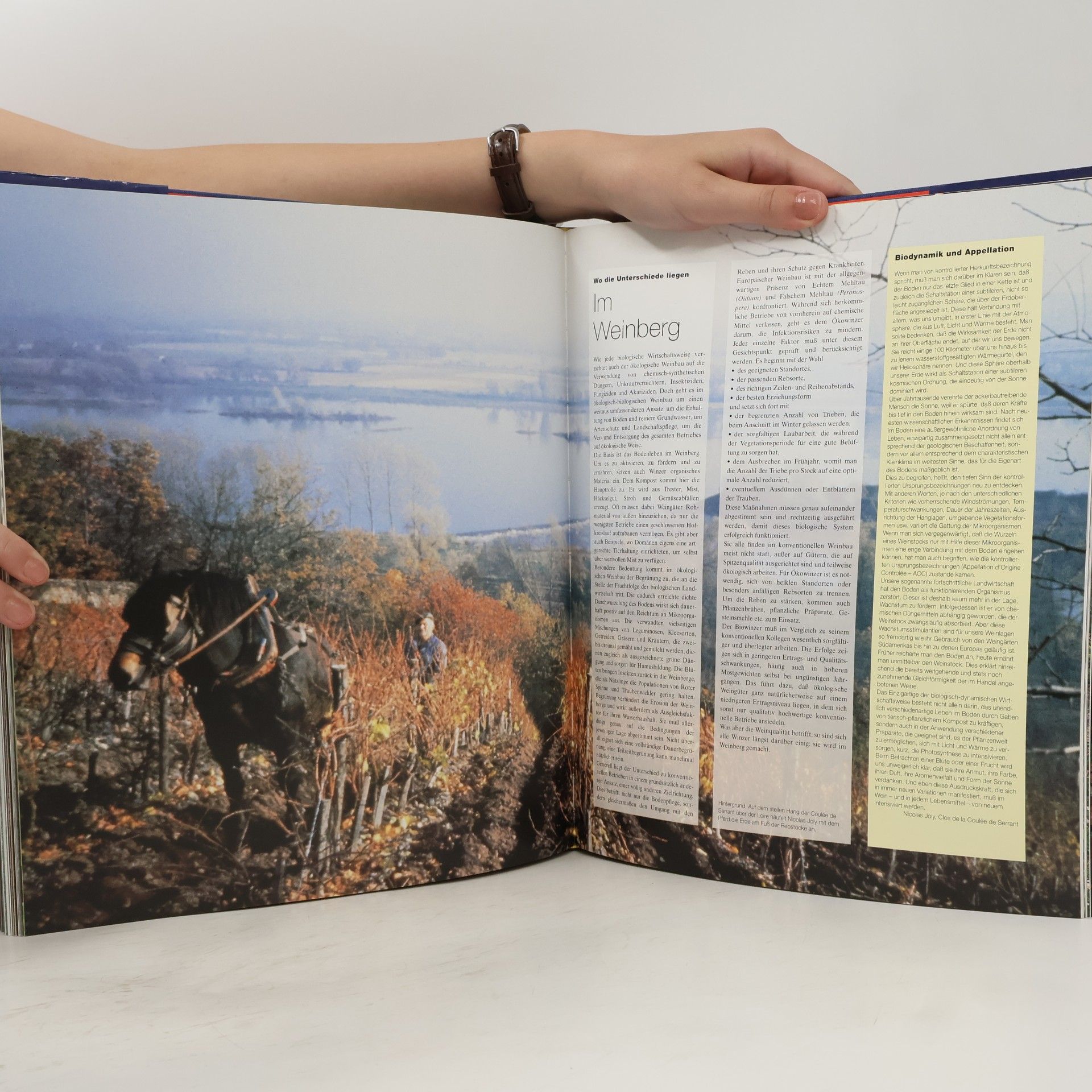 Collectif d'auteurs Culinaria Naturkost I.-II. (2 Bände)
