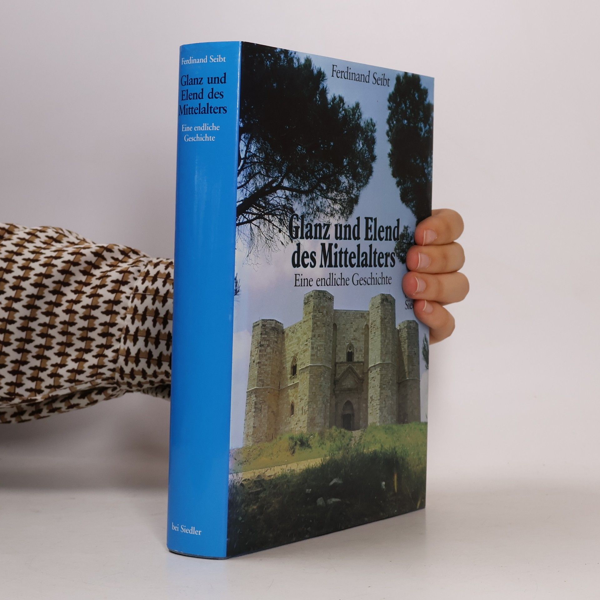 Ferdinand Seibt Glanz und Elend des Mittelalters. Eine endliche Geschichte