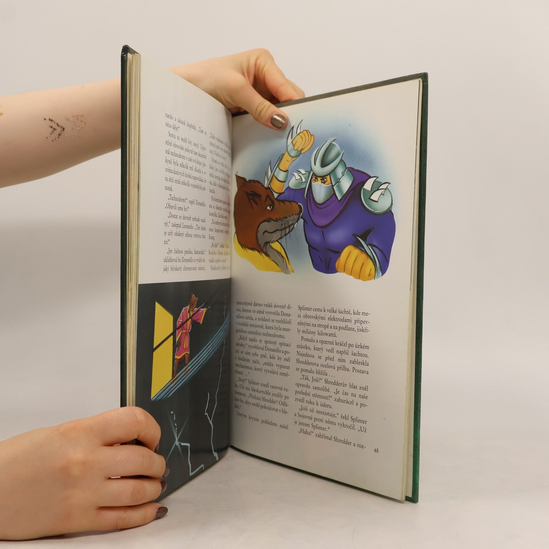 Maureen Spurgeon Teenage Mutant Ninja Turtles. Hrdinové z podzemí