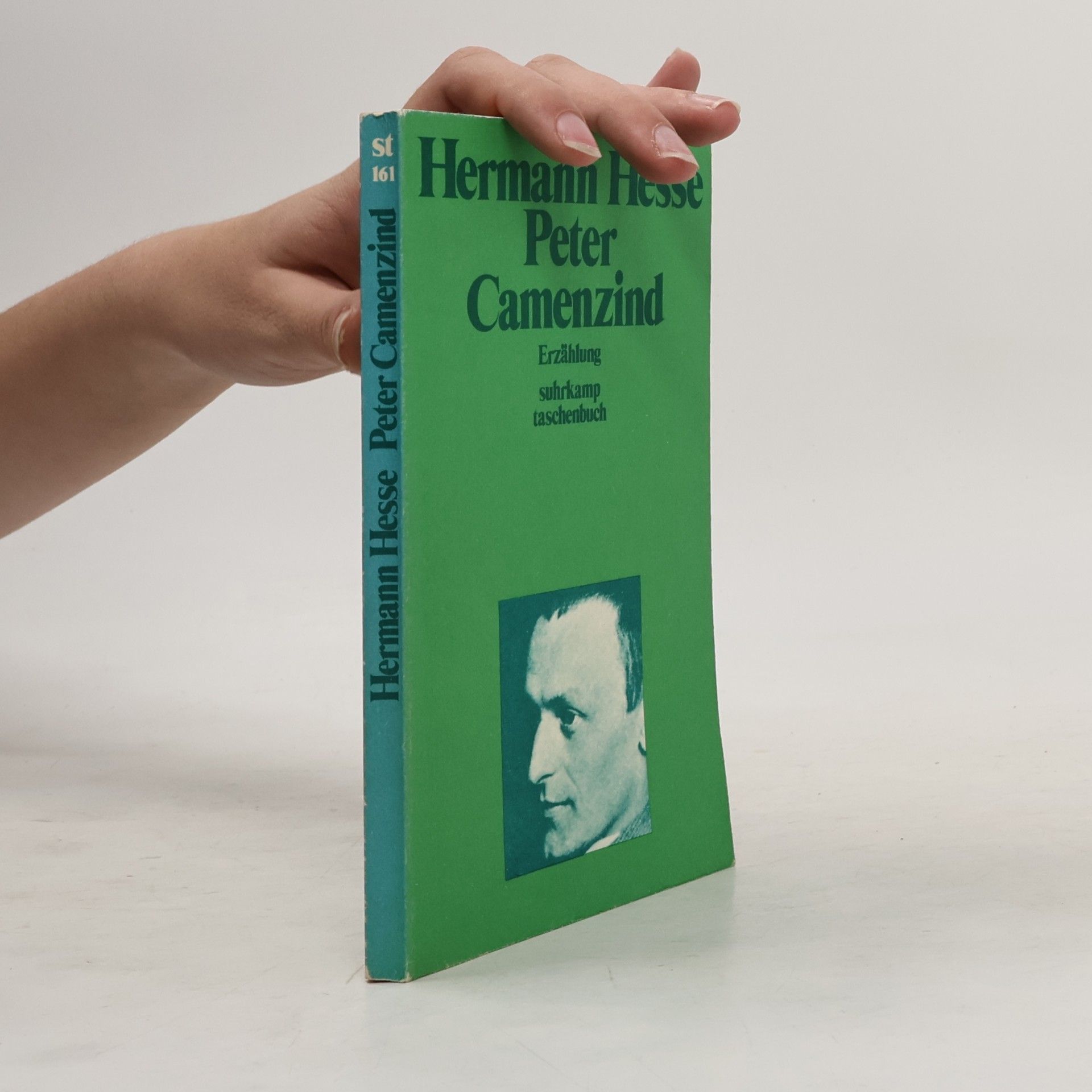 Hermann Hesse Peter Camenzind
