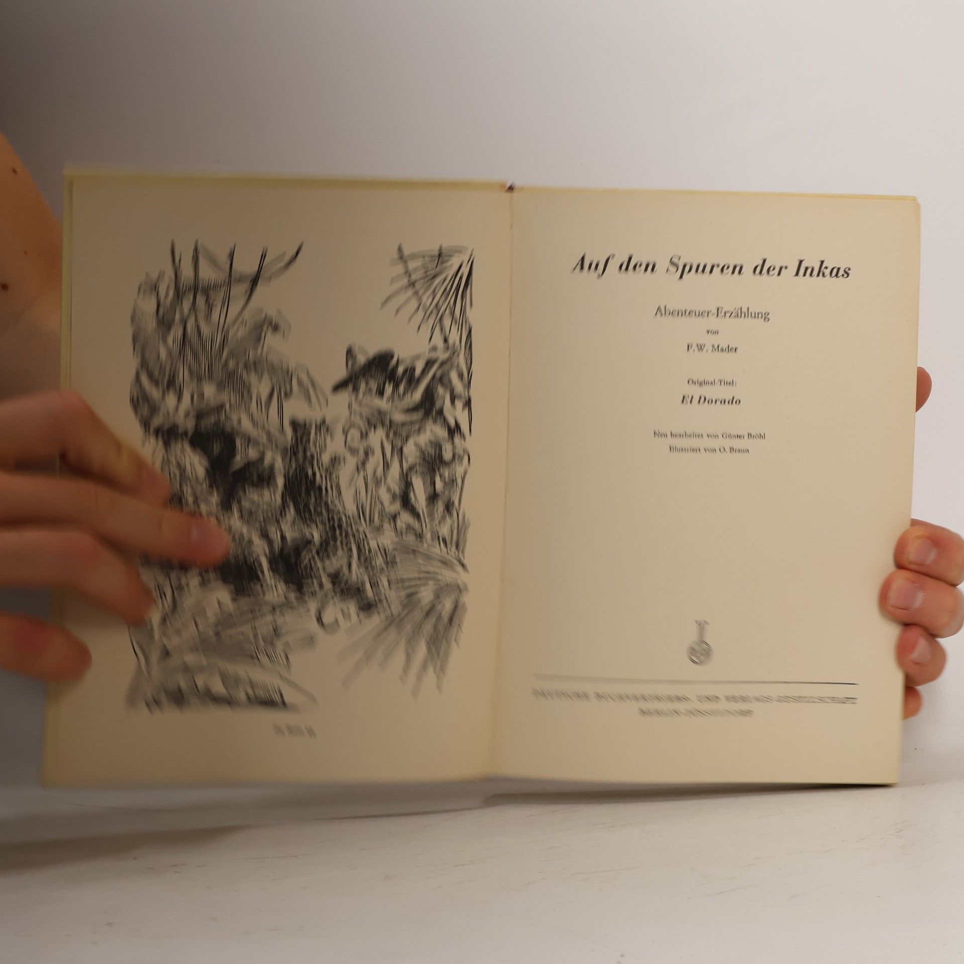Friedrich Wilhelm Mader Auf den Spuren der Inkas