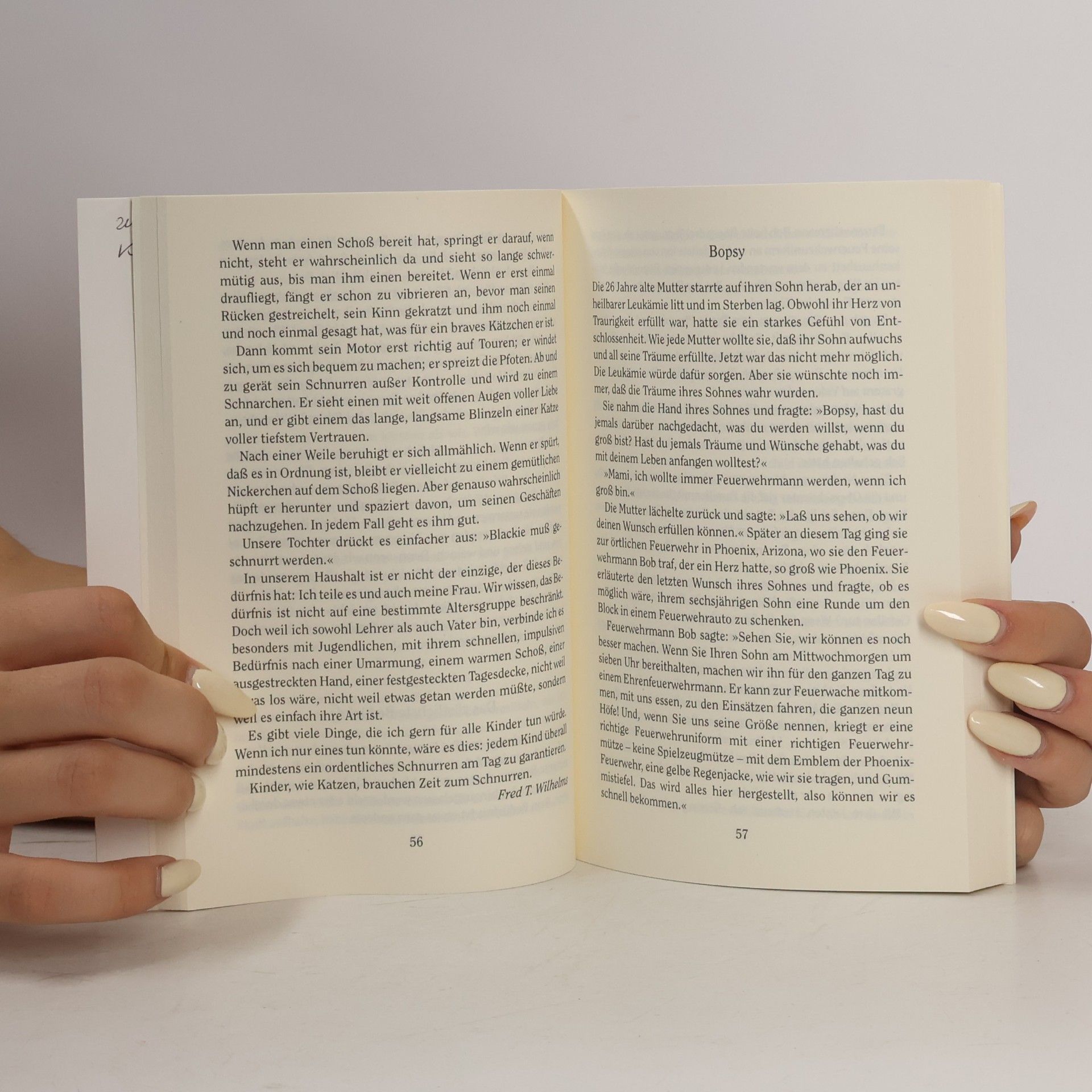Autorenkollektiv Hühnersuppe für die Seele