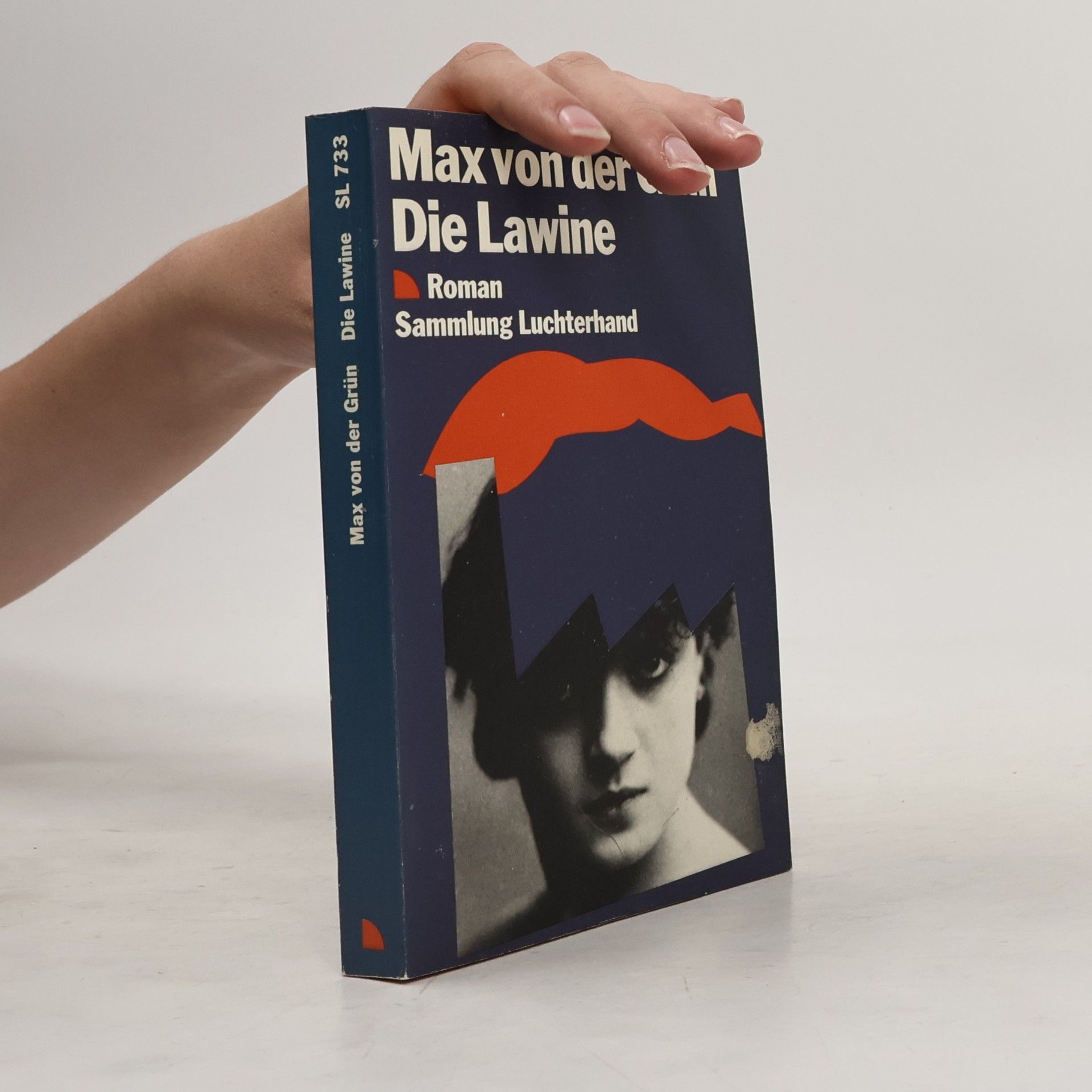 Max von der Grün Die Lawine