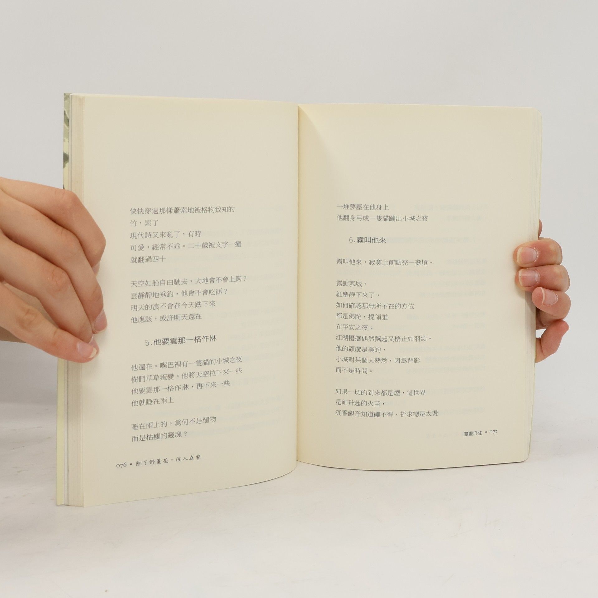 李進文 除了野薑花, 沒人在家