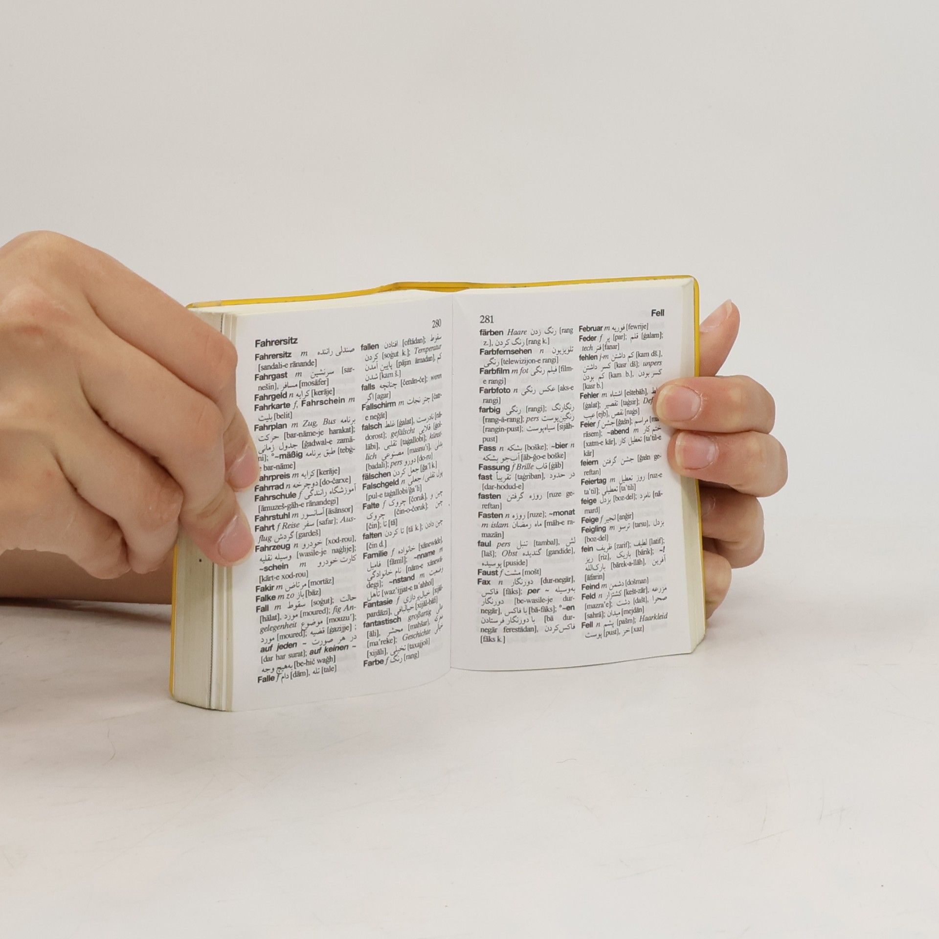 Khosro Naghed Langenscheidts Universal-Wörterbuch Persisch