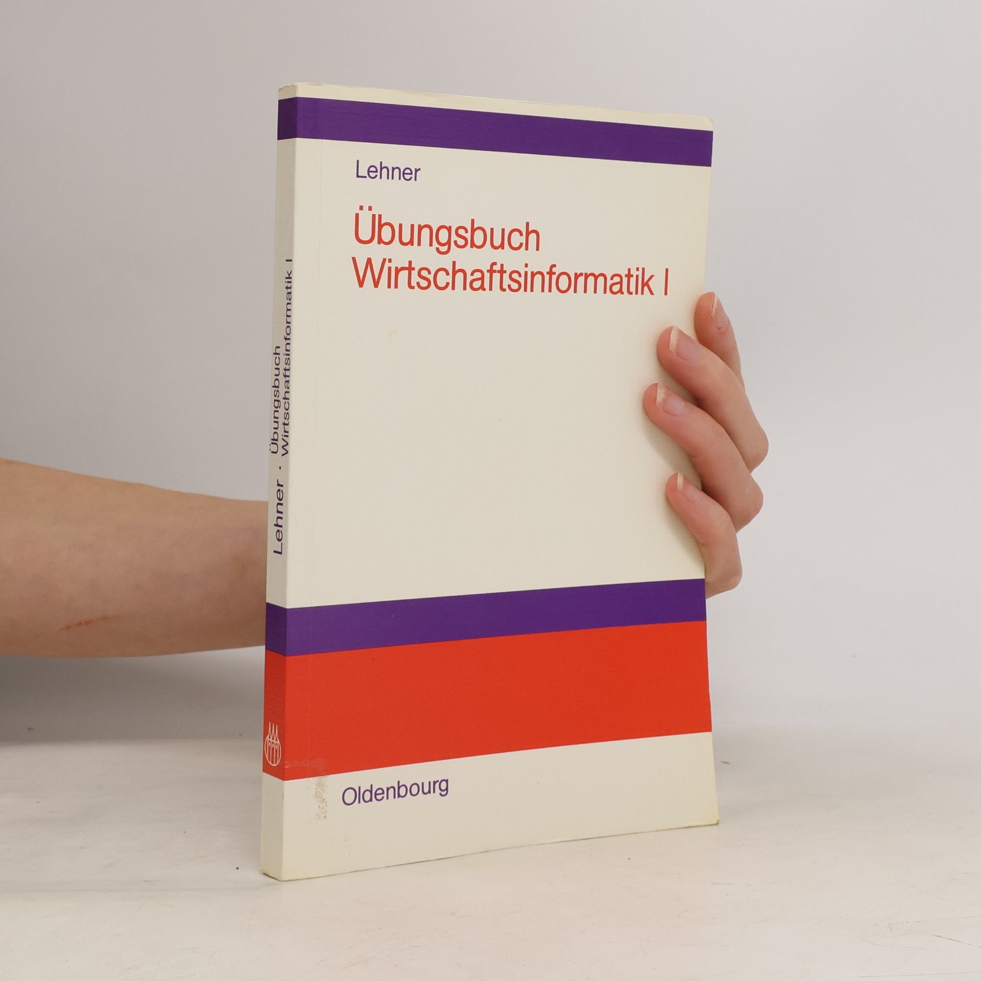 Franz Lehner Übungsbuch Wirtschaftsinformatik