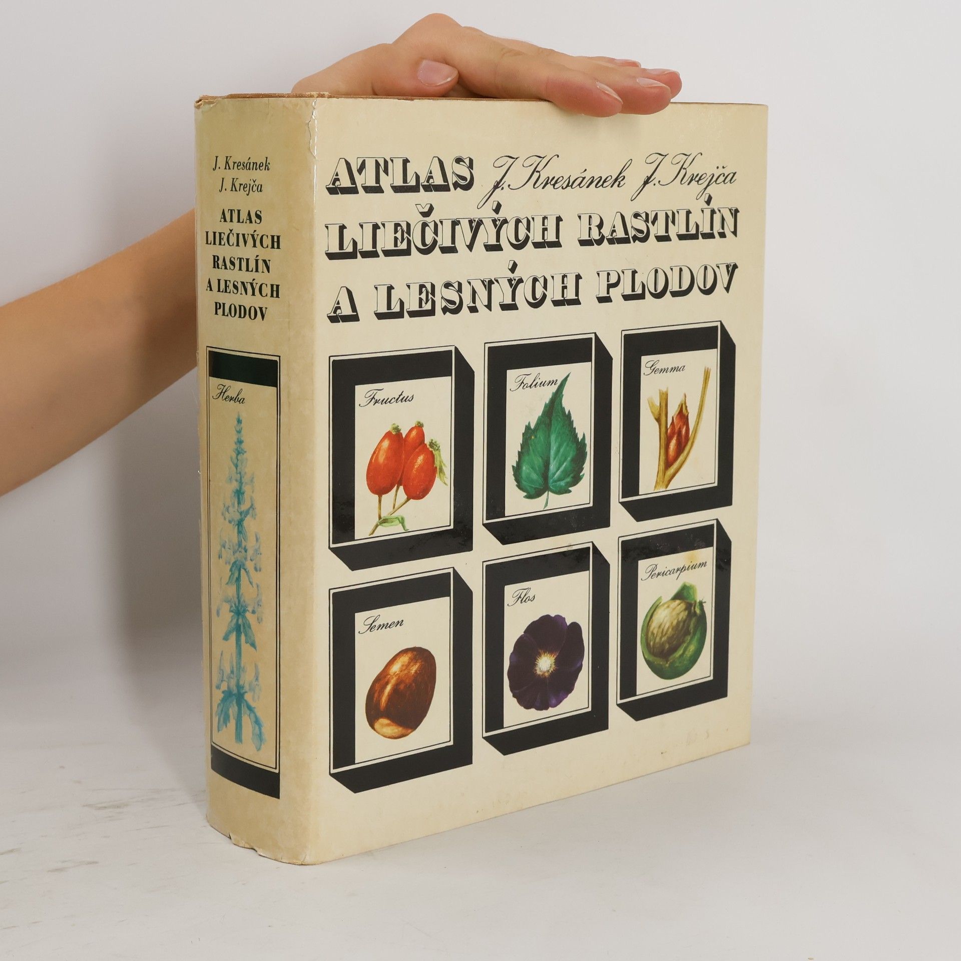 Jindřich Krejča Atlas liečivých rastlín a lesných plodov