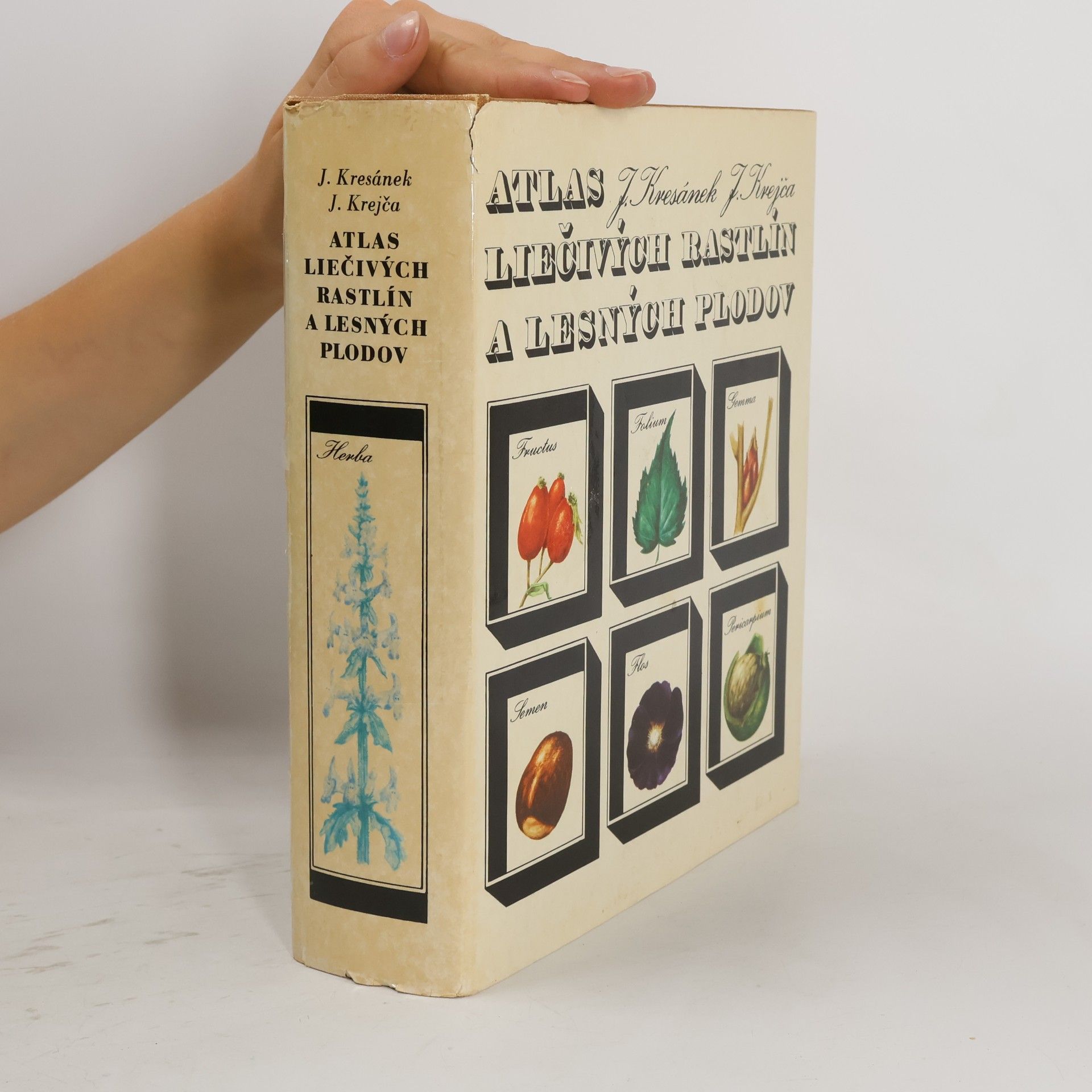 Jindřich Krejča Atlas liečivých rastlín a lesných plodov