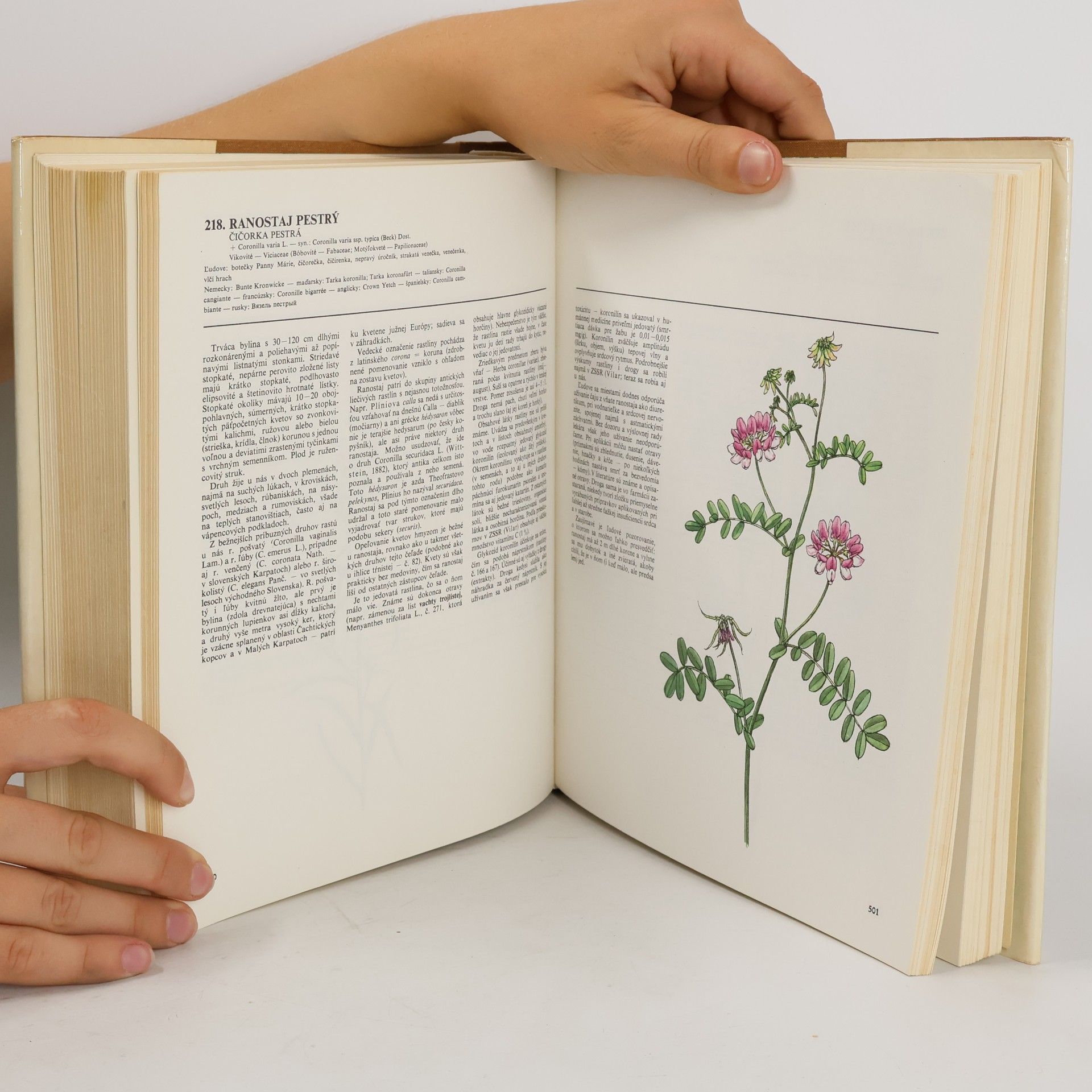 Jindřich Krejča Atlas liečivých rastlín a lesných plodov