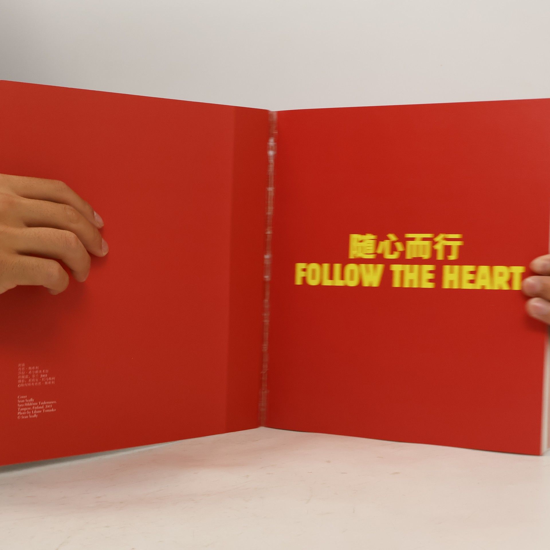 Sean Scully Follow the Heart: The Art of Sean Scully 1964–2014. 随心ov而行: 肖恩·斯库利艺术展