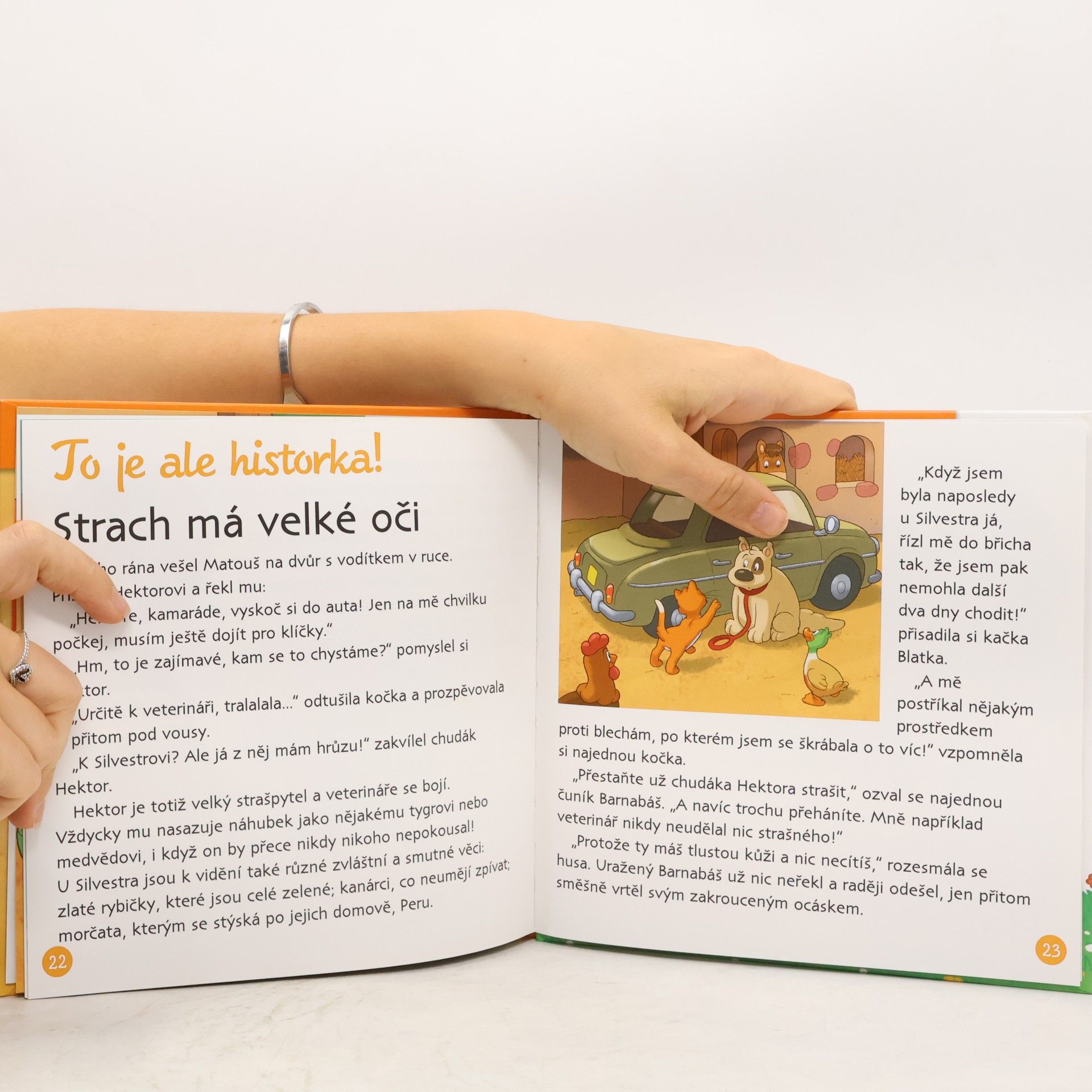 Collectif d'auteurs Na dvorku 6. Pes